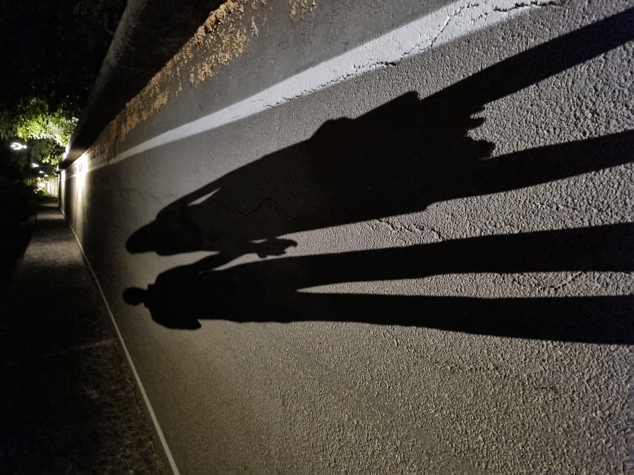 Night shadows