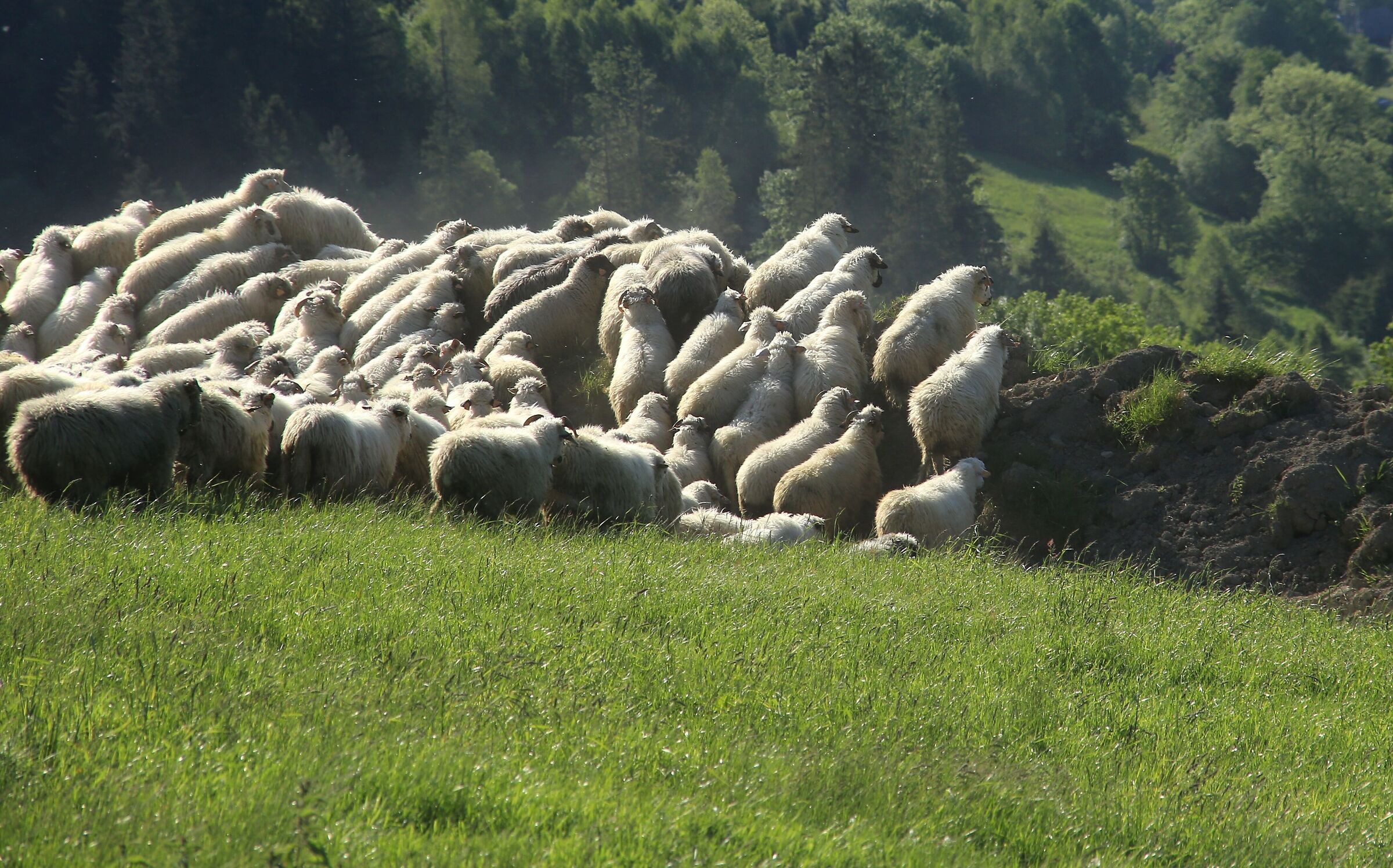 Attraversare i confini