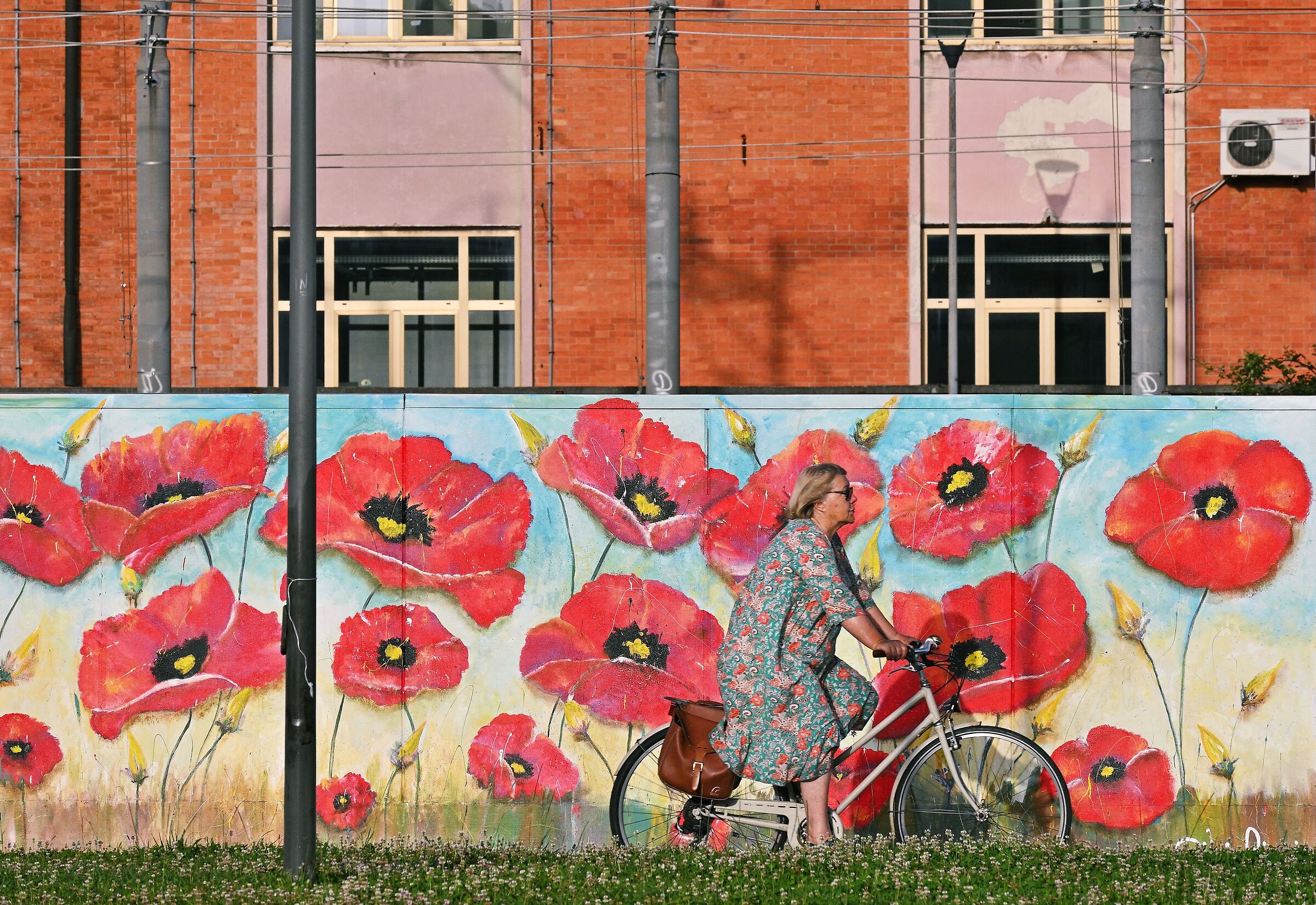 Urban Poppies