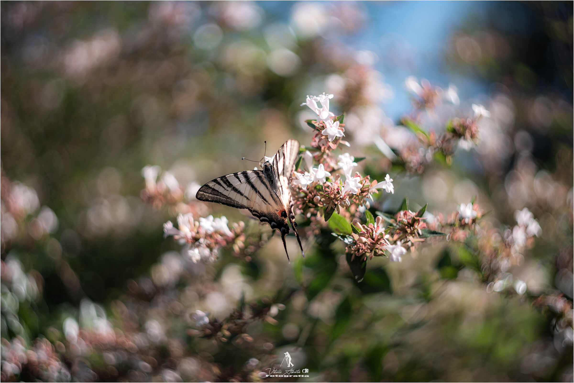 Come on, I take you suuu