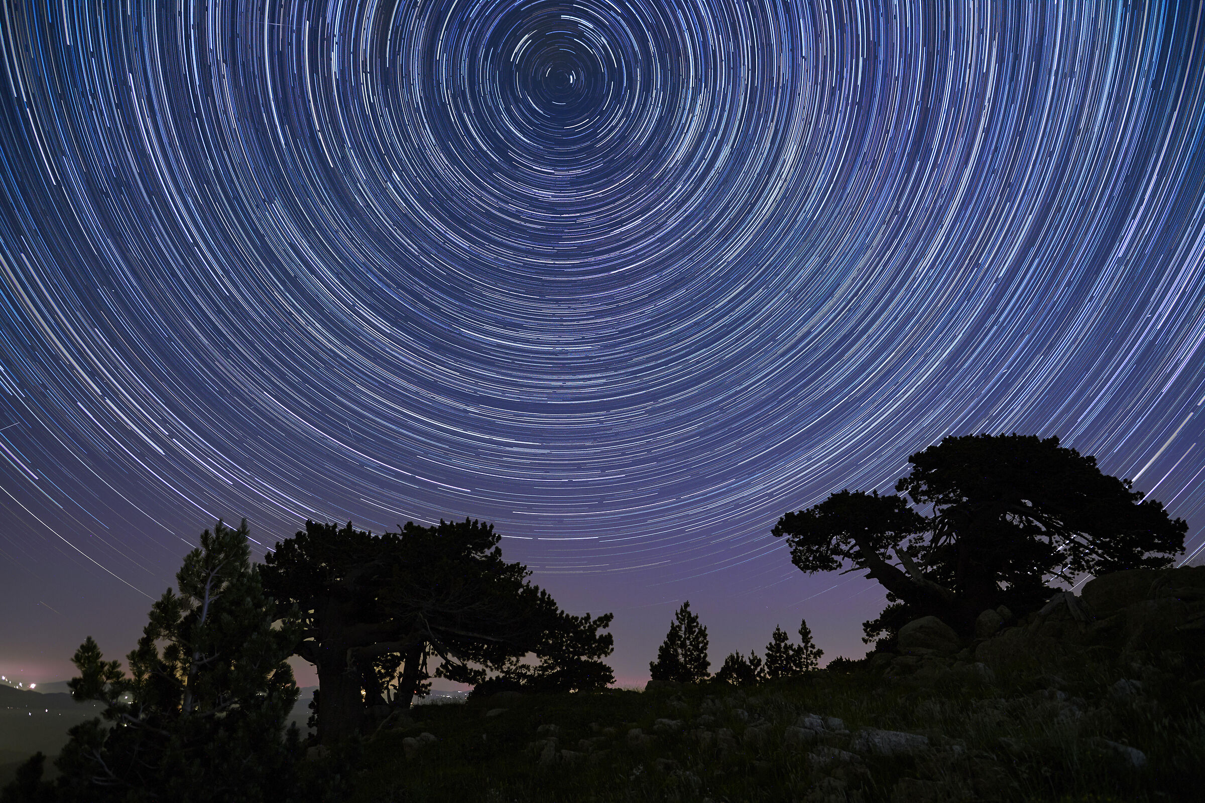 A night under the stars