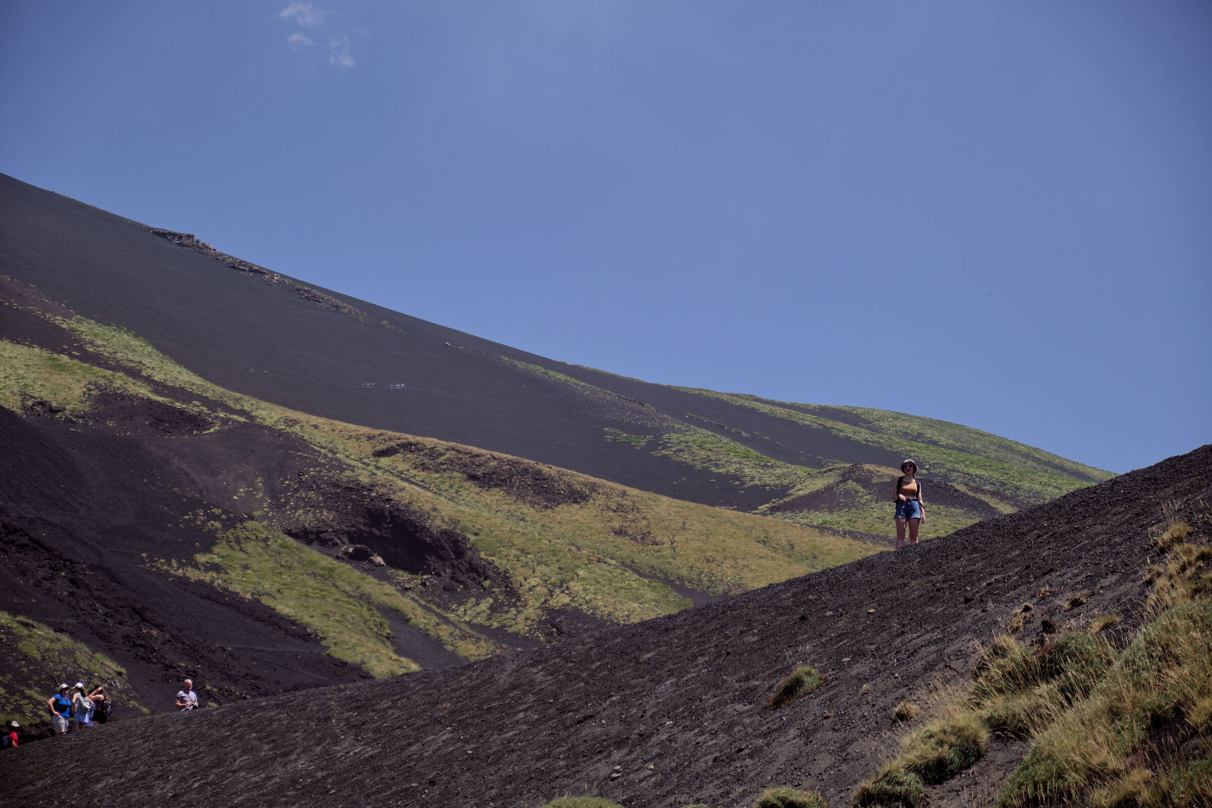 La signora in giallo