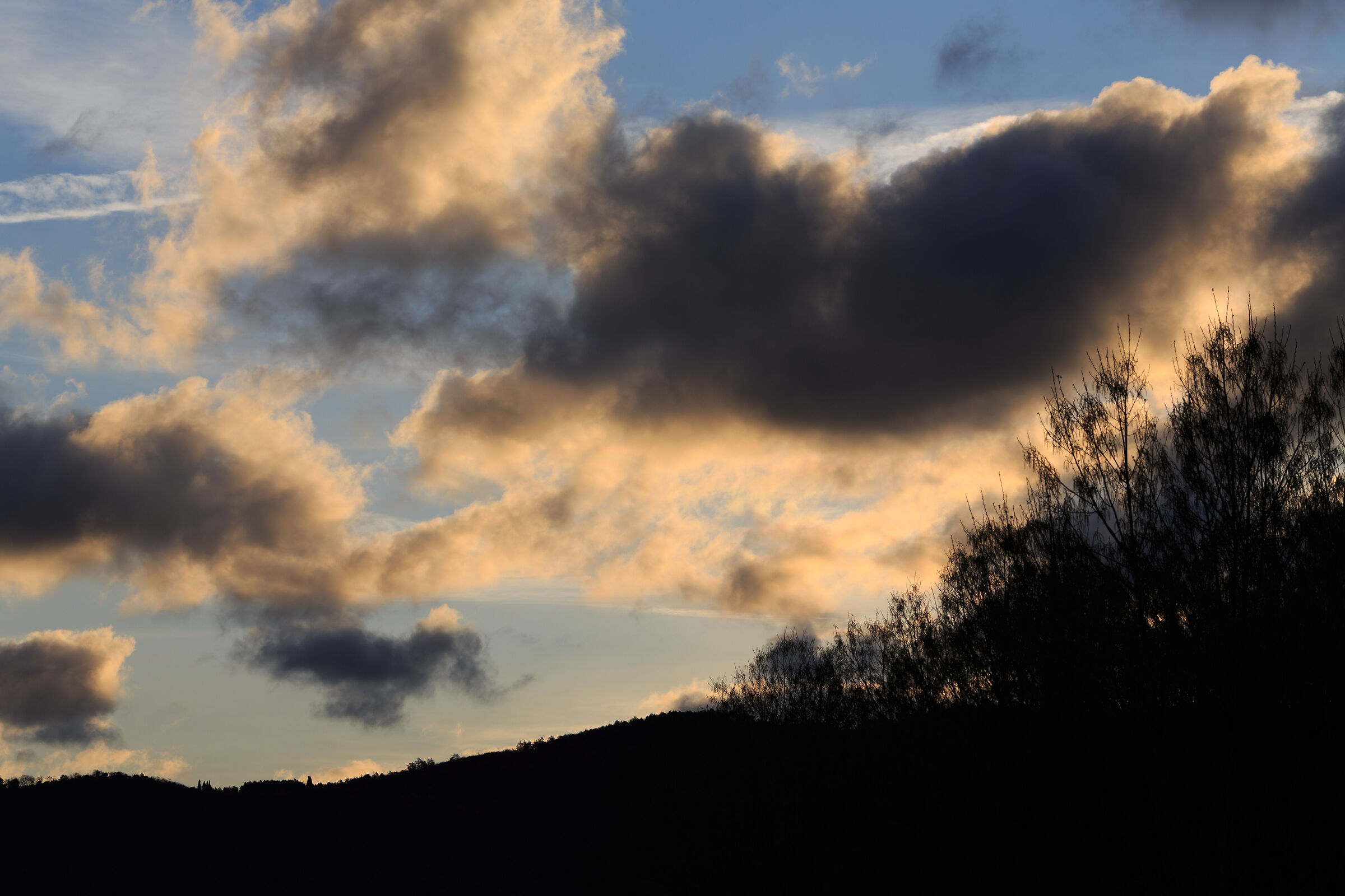 Flavors and Lights of Dawn