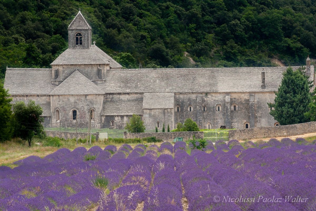 Abbaye Notre-Dame de Sénanque