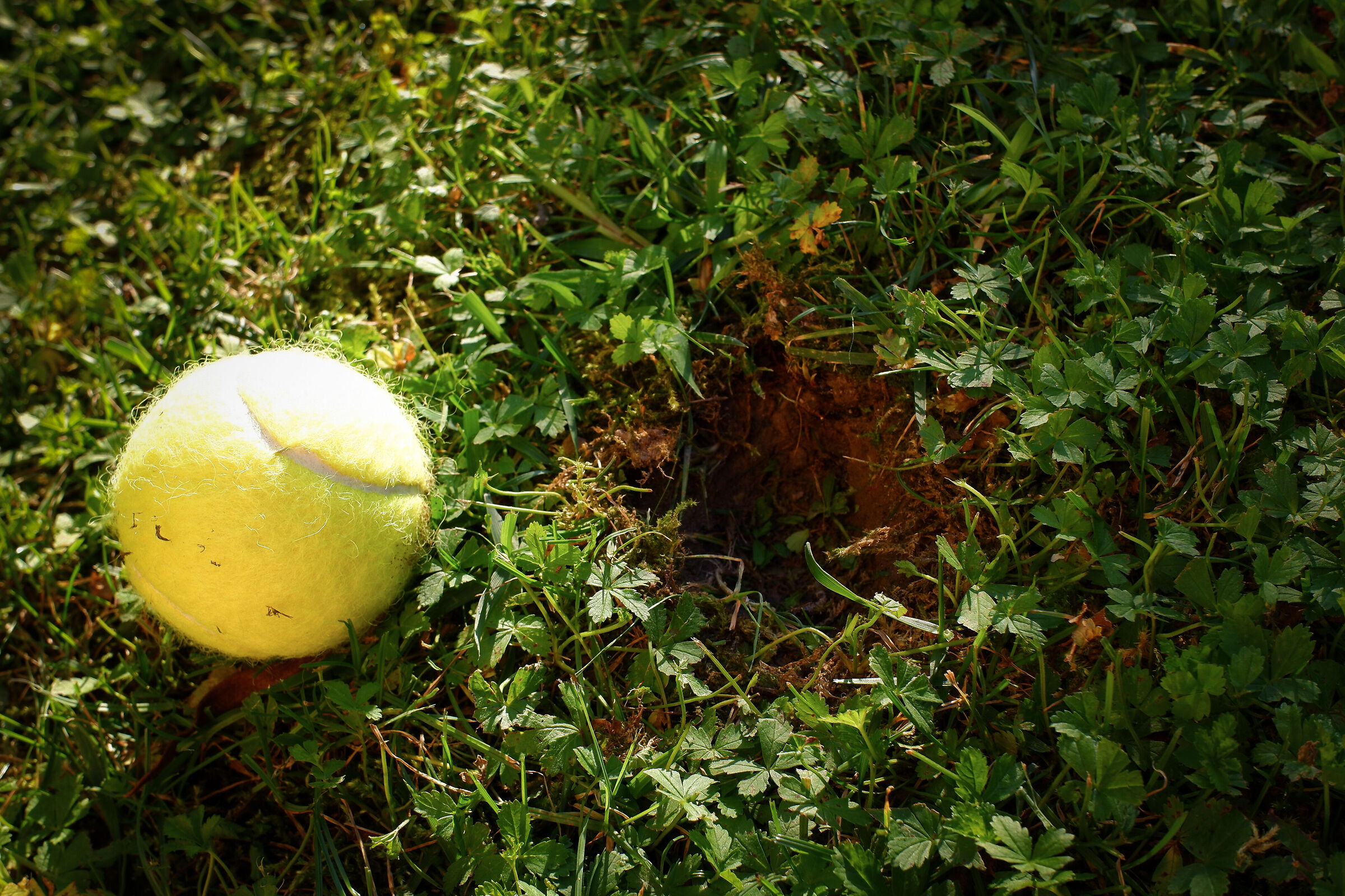 L'impronta della grandine