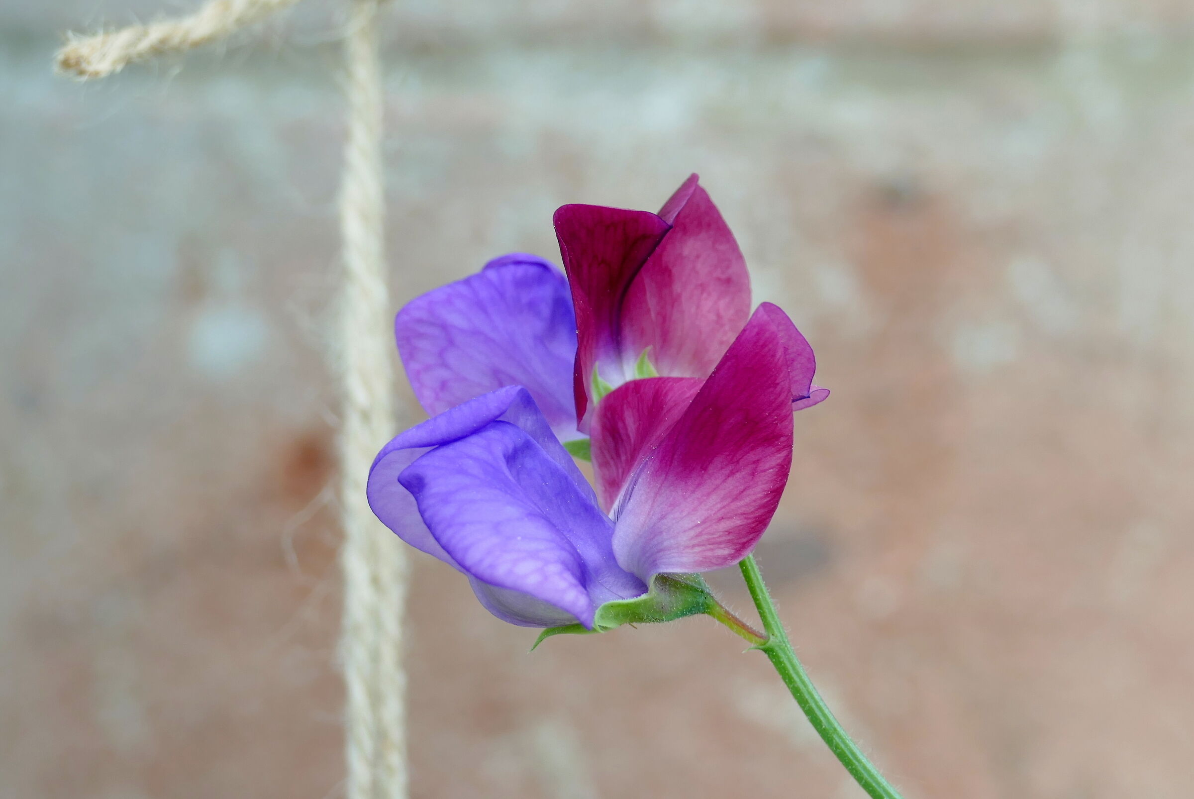 Natura, che artista!!