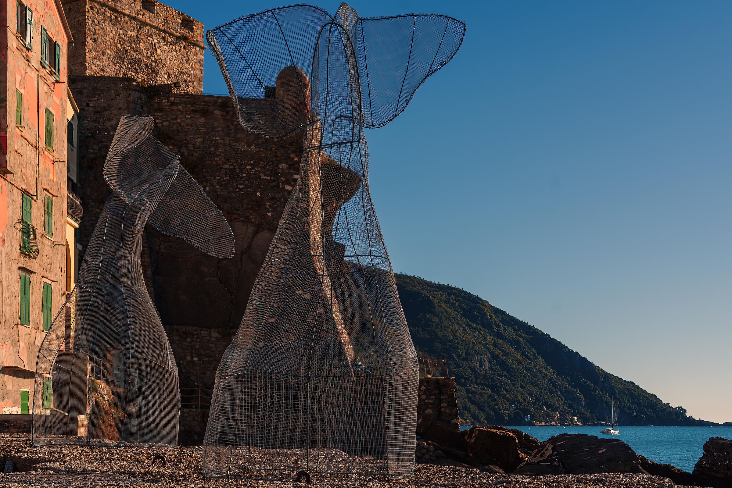 Dolphins or Whales ??????????