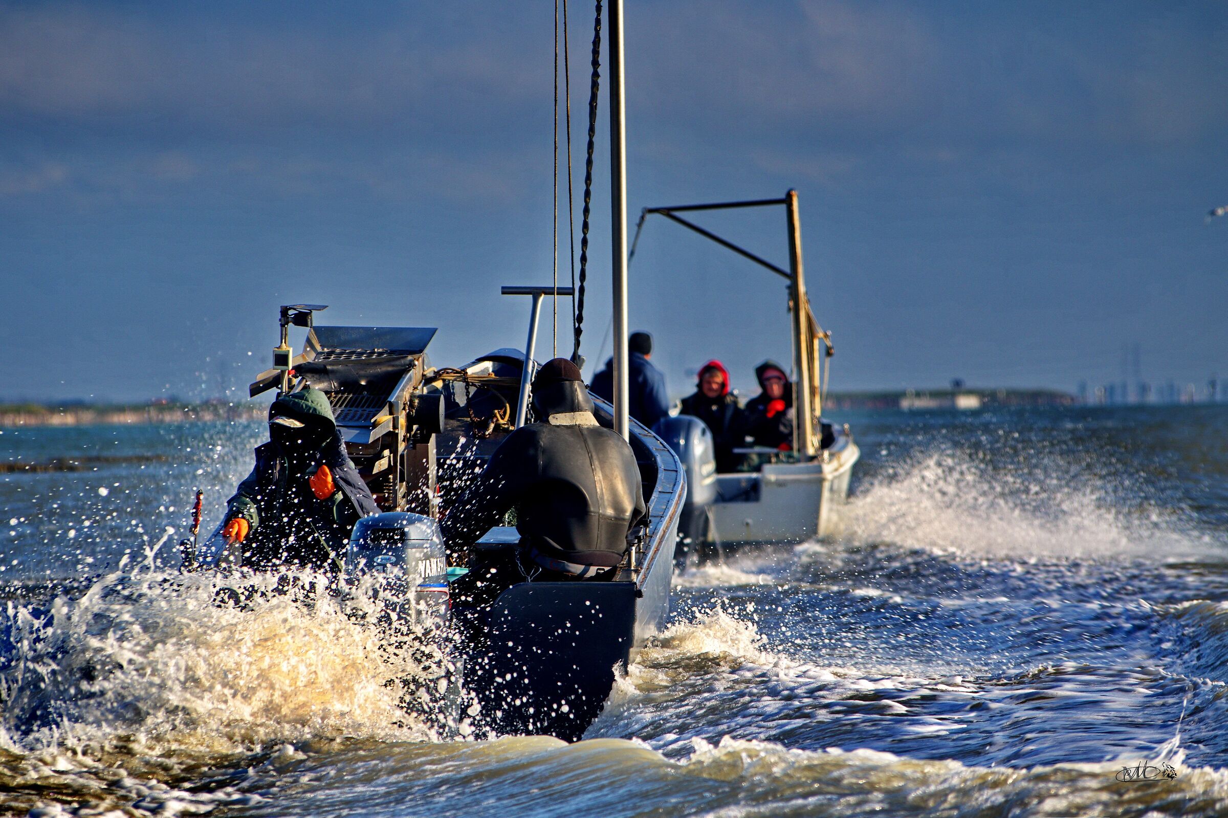 Il Delta del Po,la raccolta delle vongole veraci.