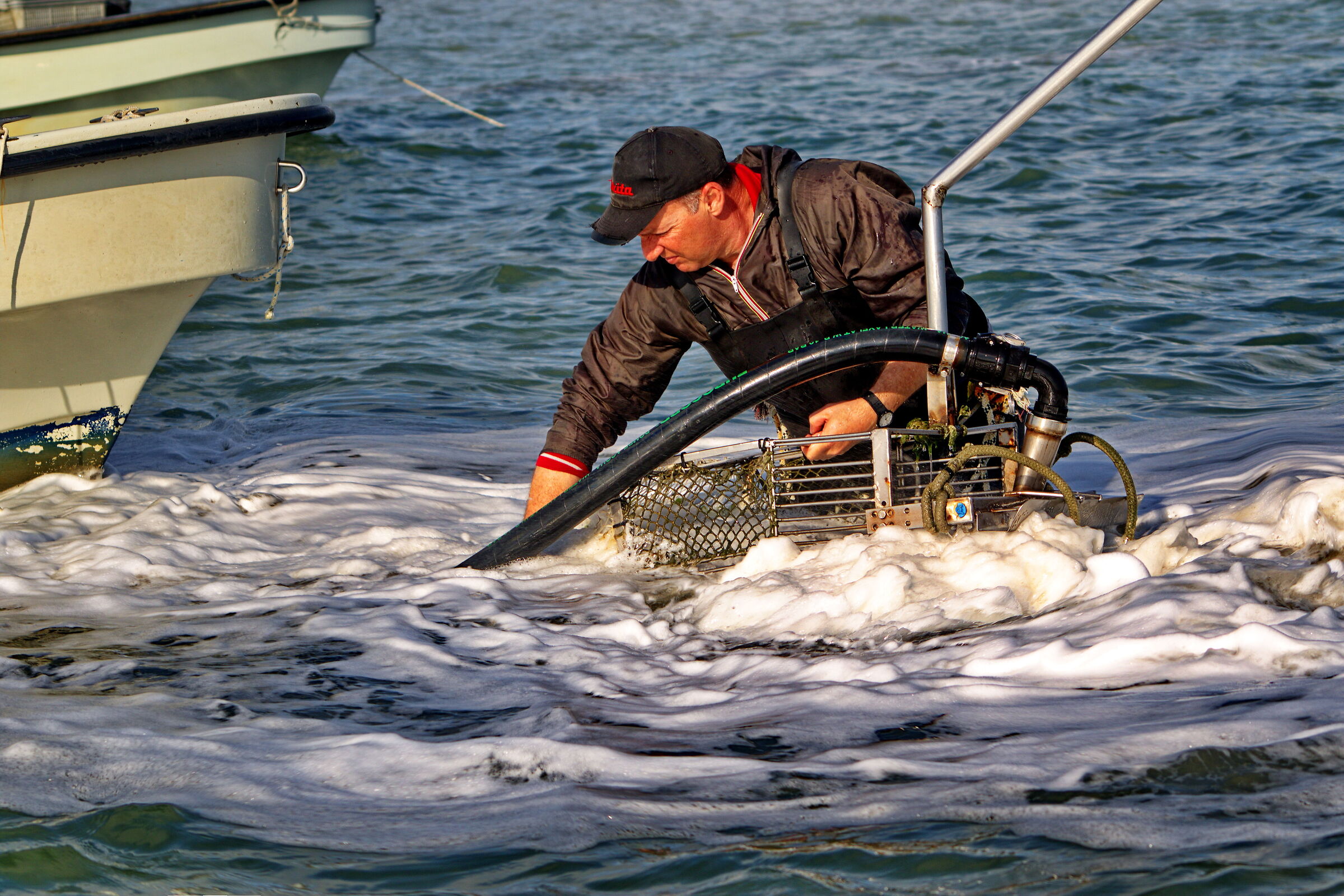 Il Delta del Po, la raccolta delle vongole veraci.