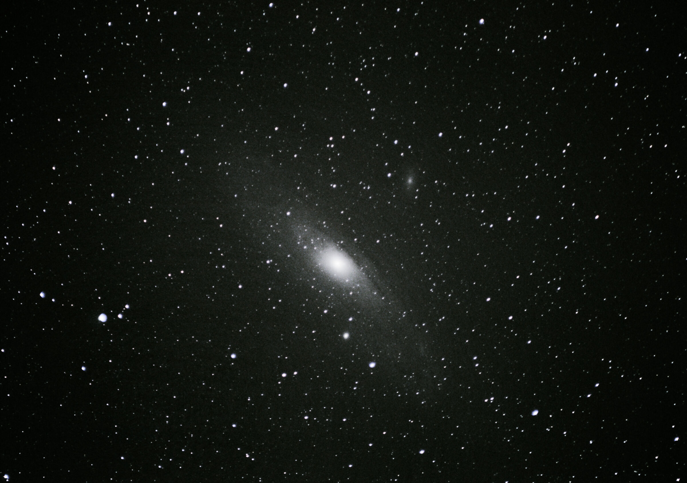 Andromeda (2021)