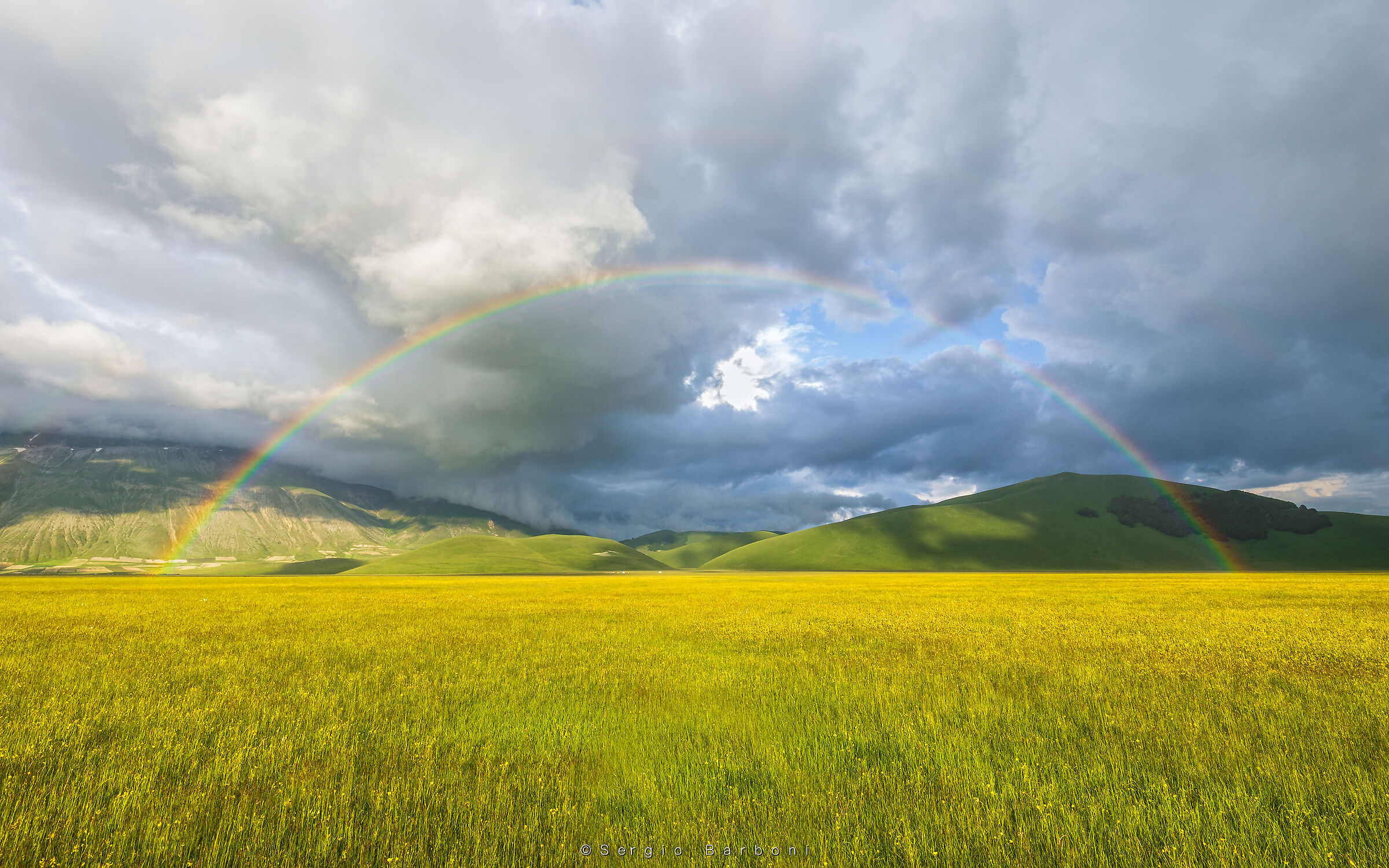 Flowering Castelluccio