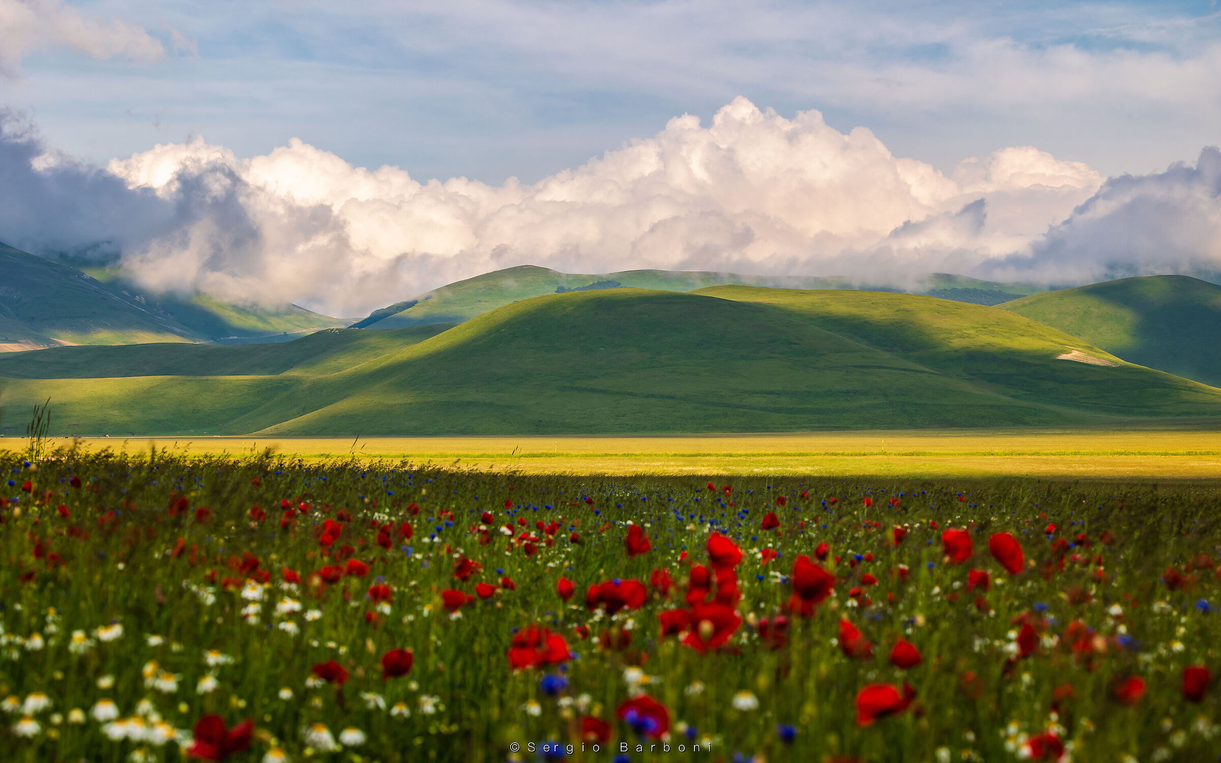 Flowering Castelluccio