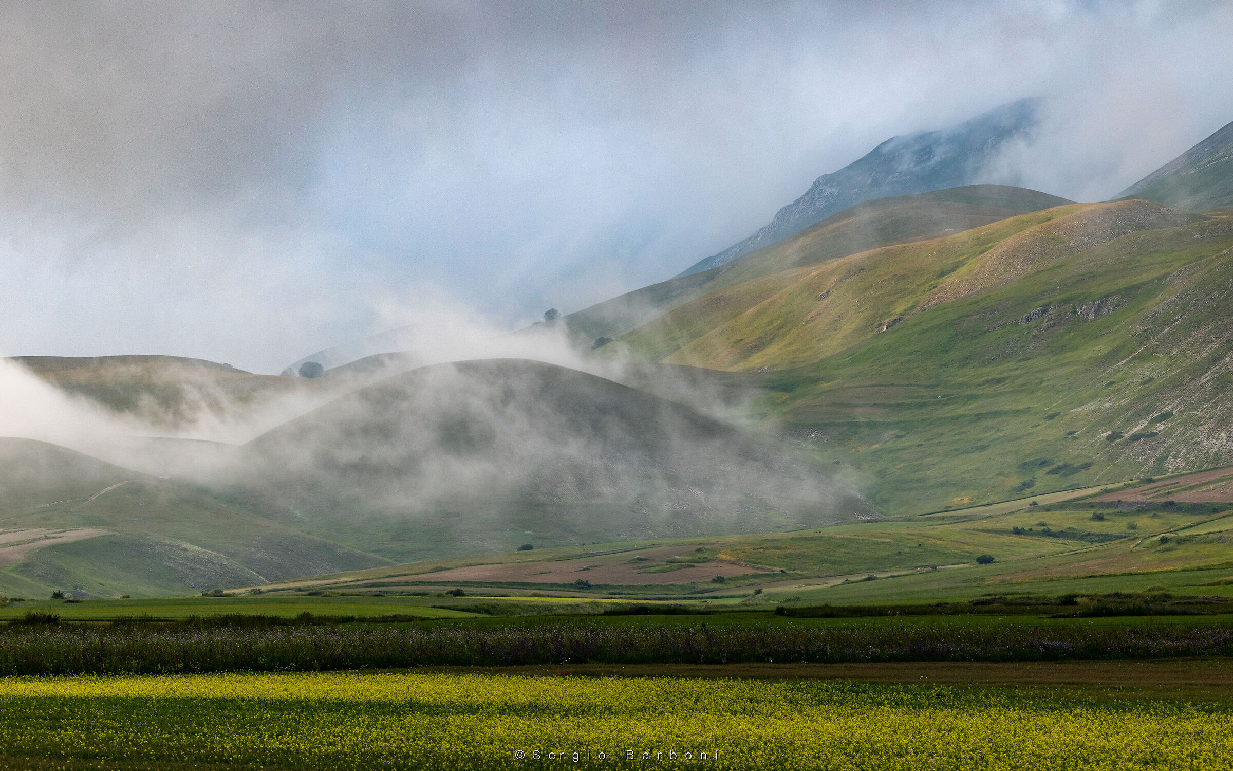 Flowering Castelluccio