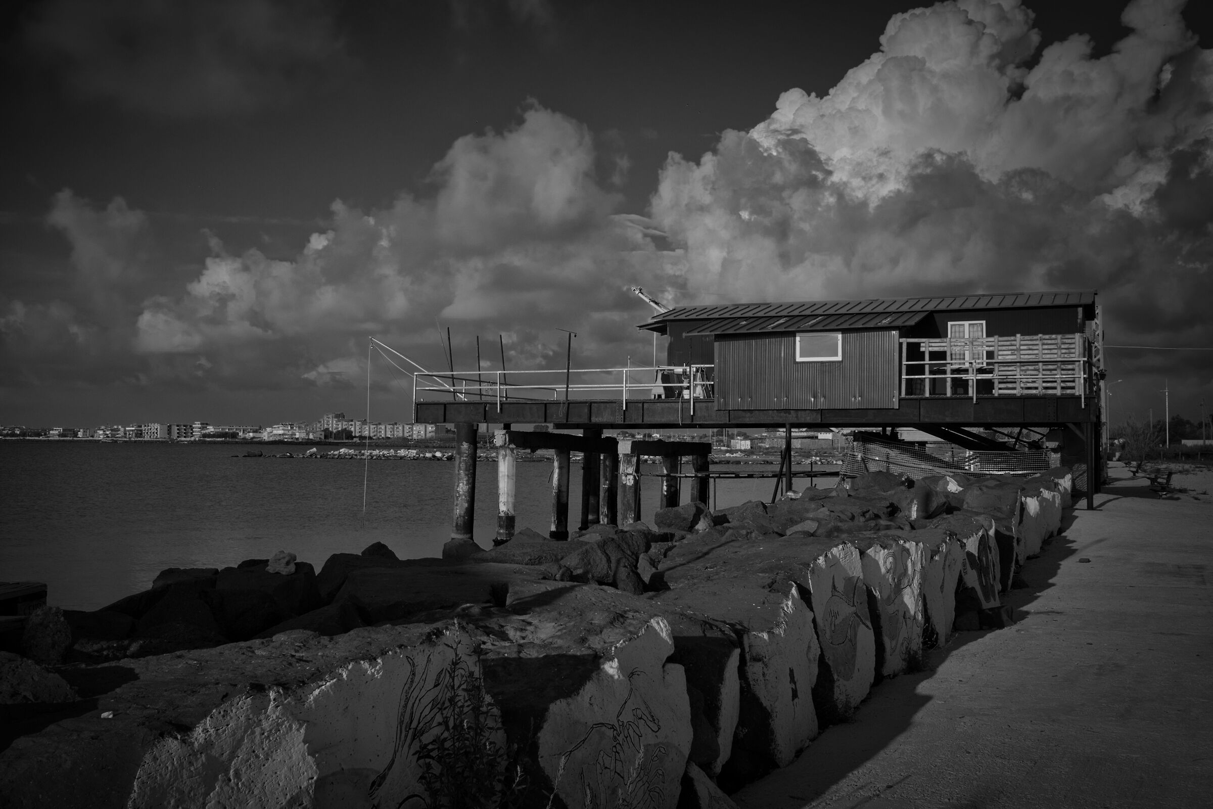 Untitled Photo