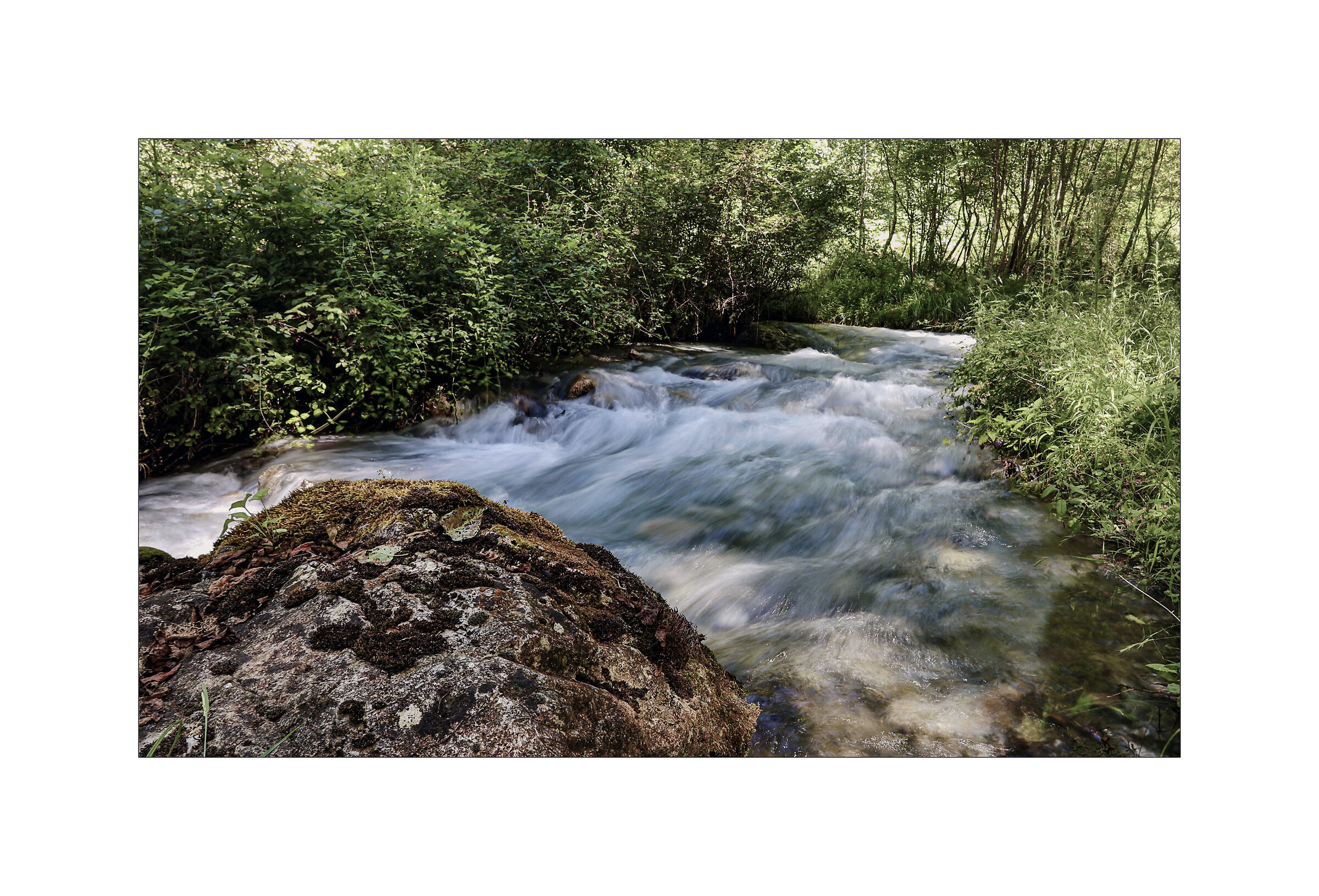 Fiume Abatemarco - Riviera dei Cedri (Calabria)