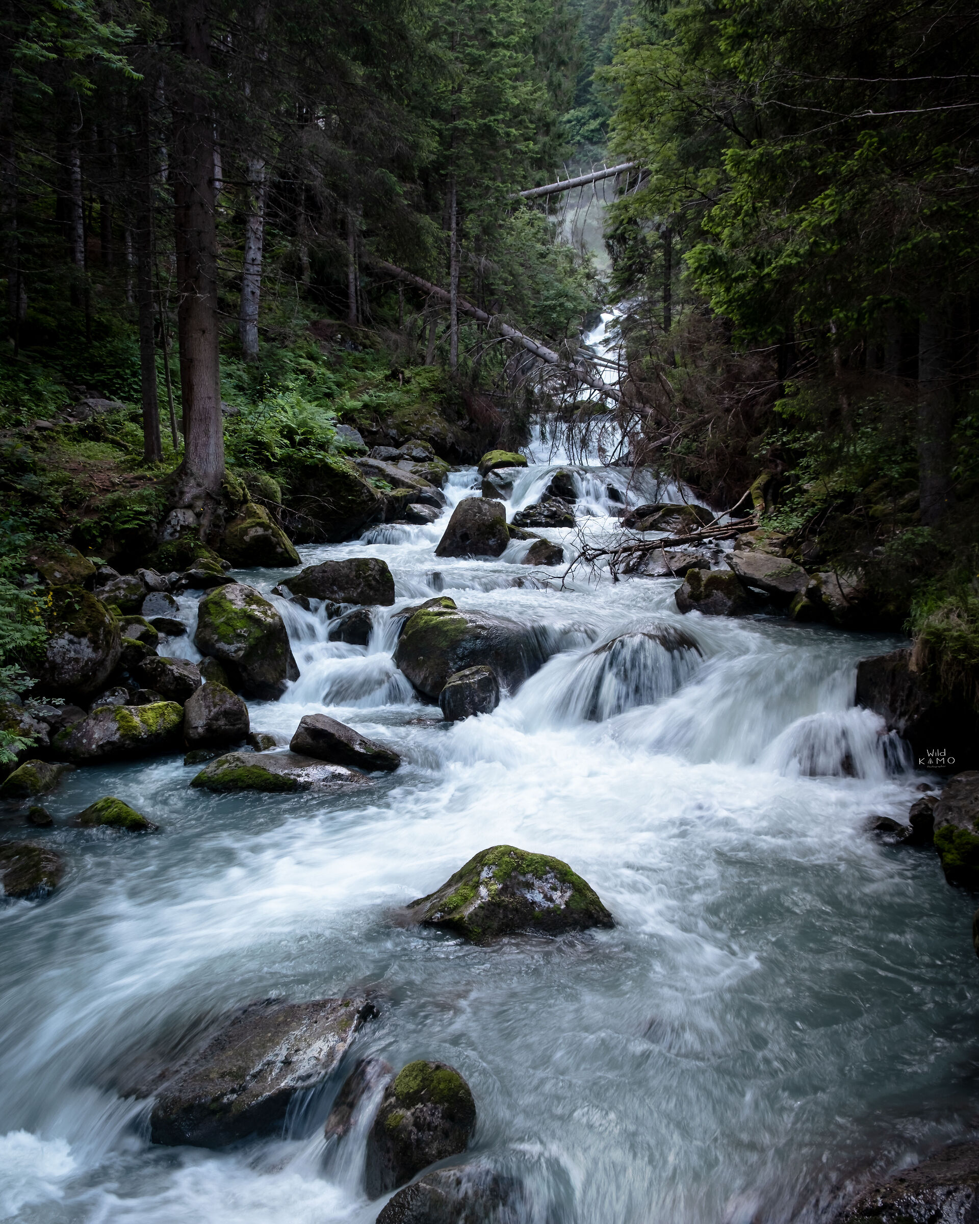 La Forza Della Natura