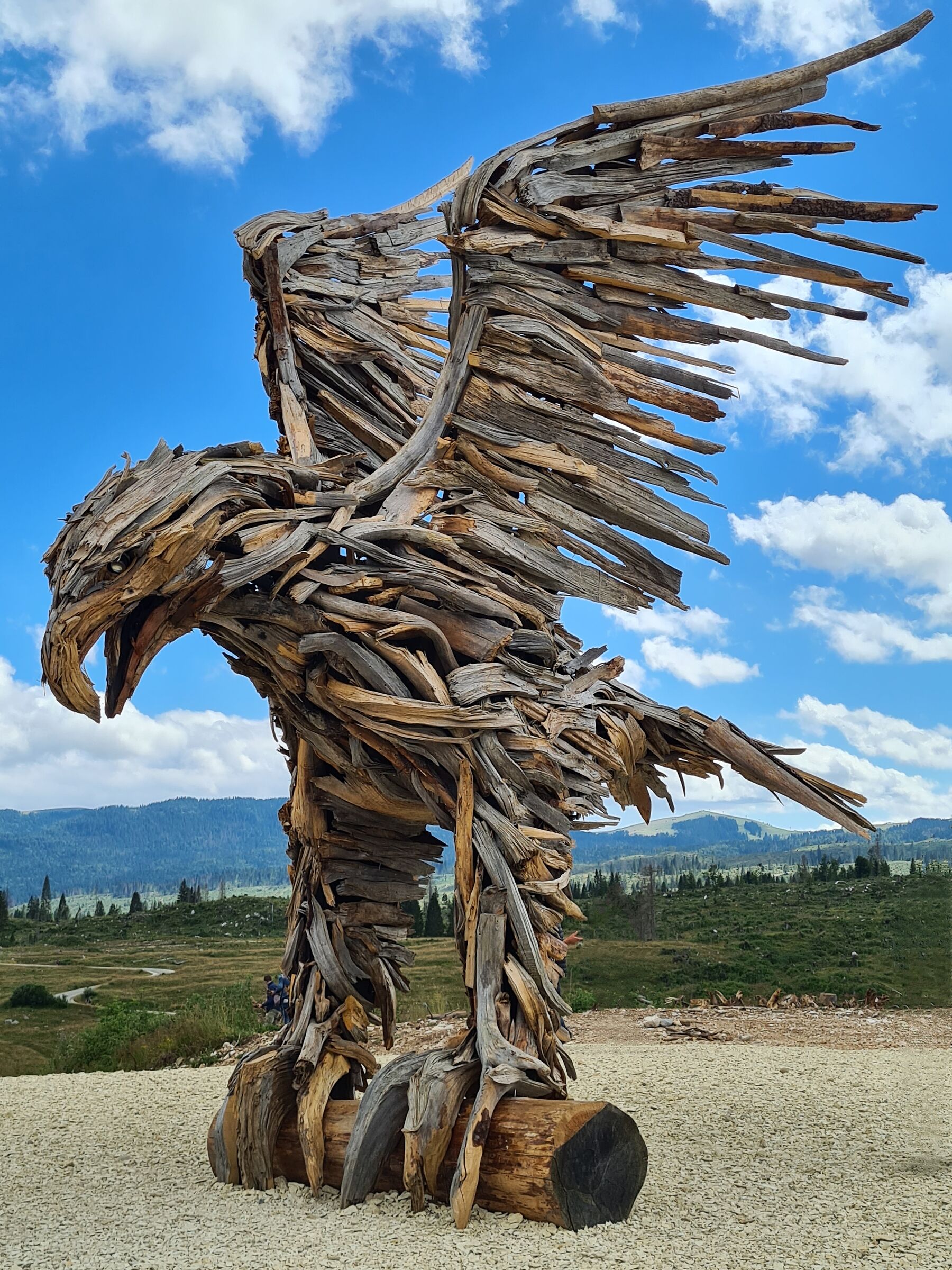 Aquila di Vaia 1