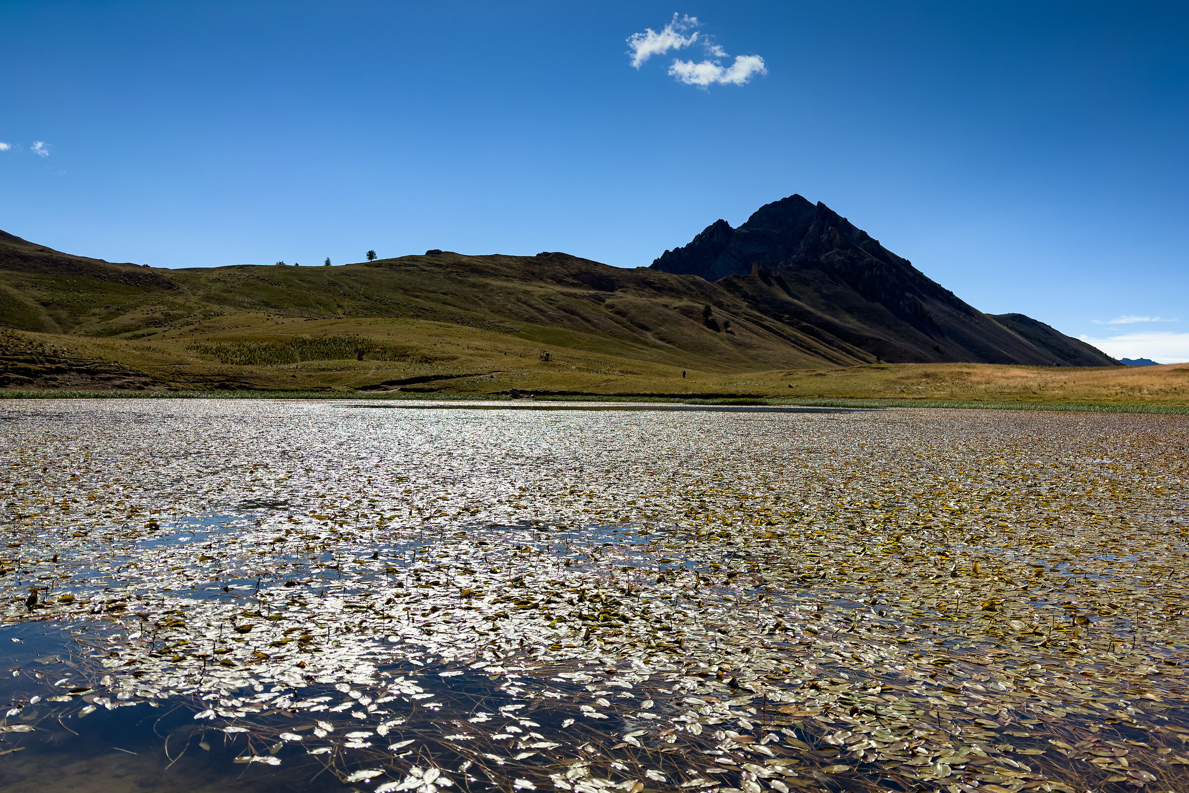Lago di Thures e Aiguille Rouge
