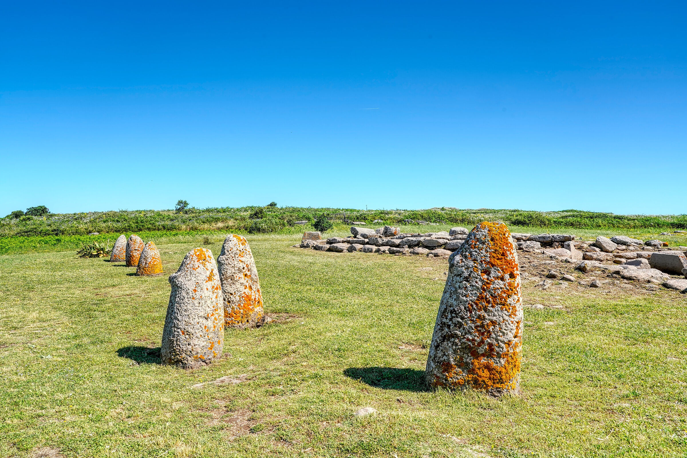Tamuli, archaeological area