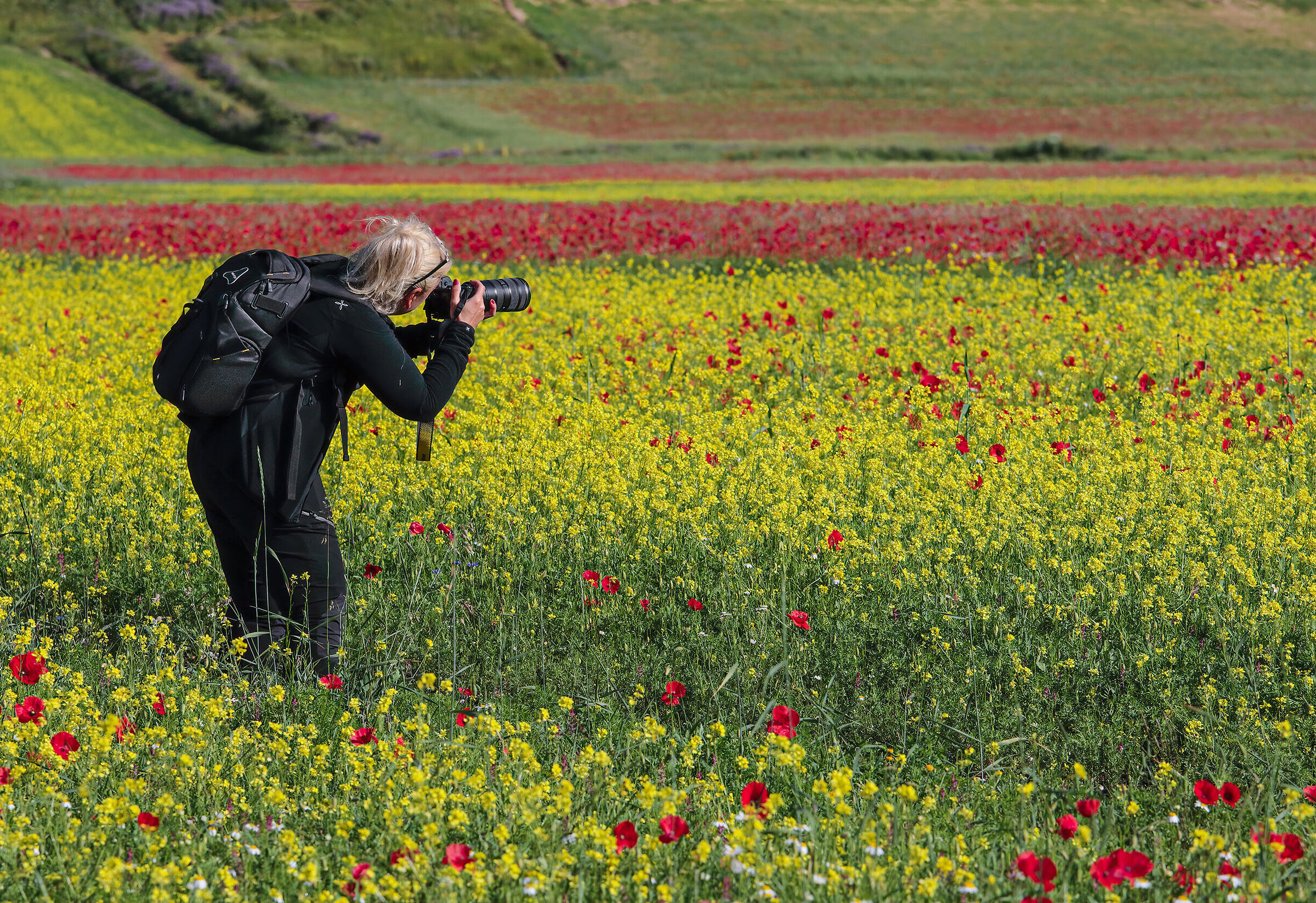 Il paradiso dei fotografi