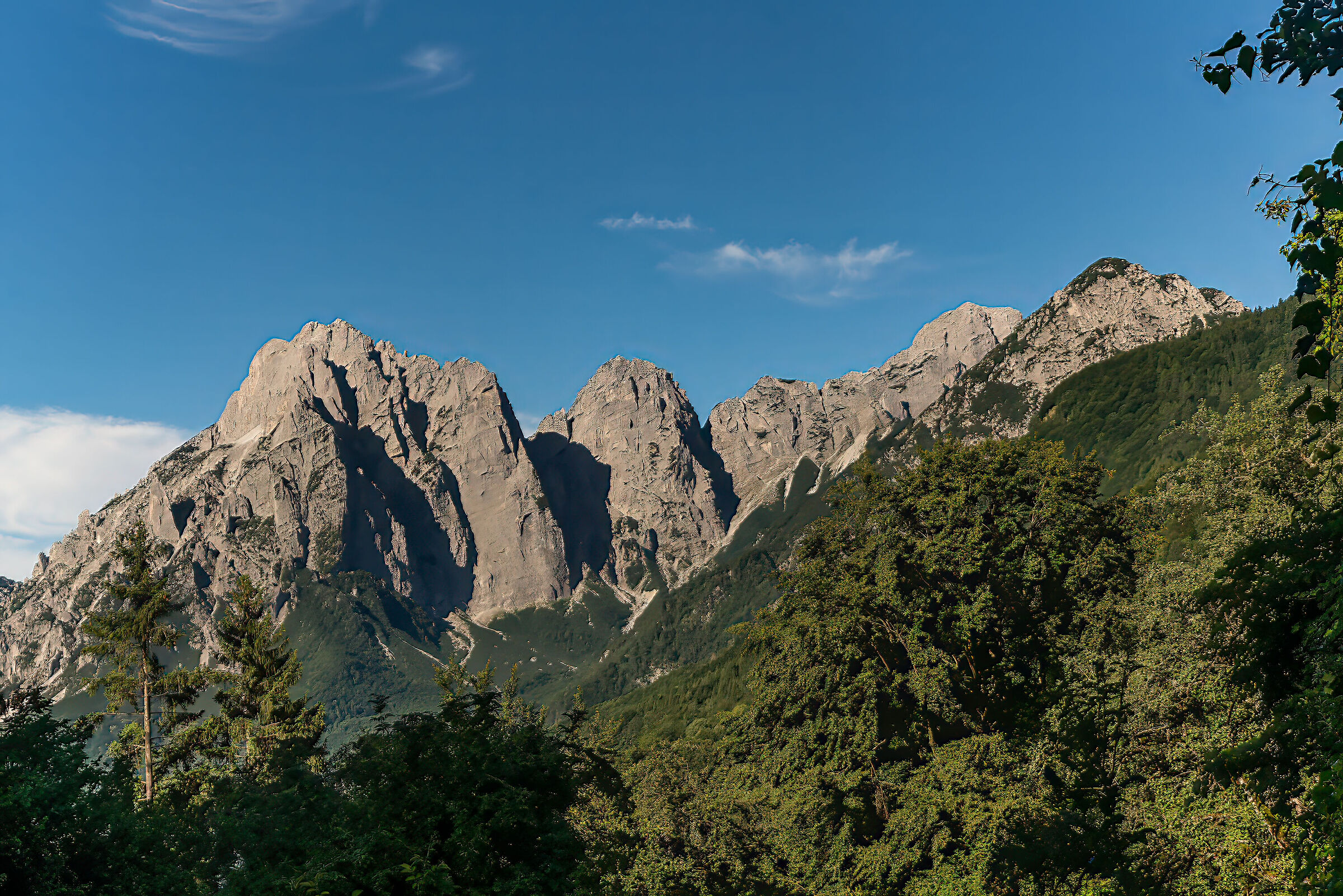 Carnic Alps-Sernio gauzaria group