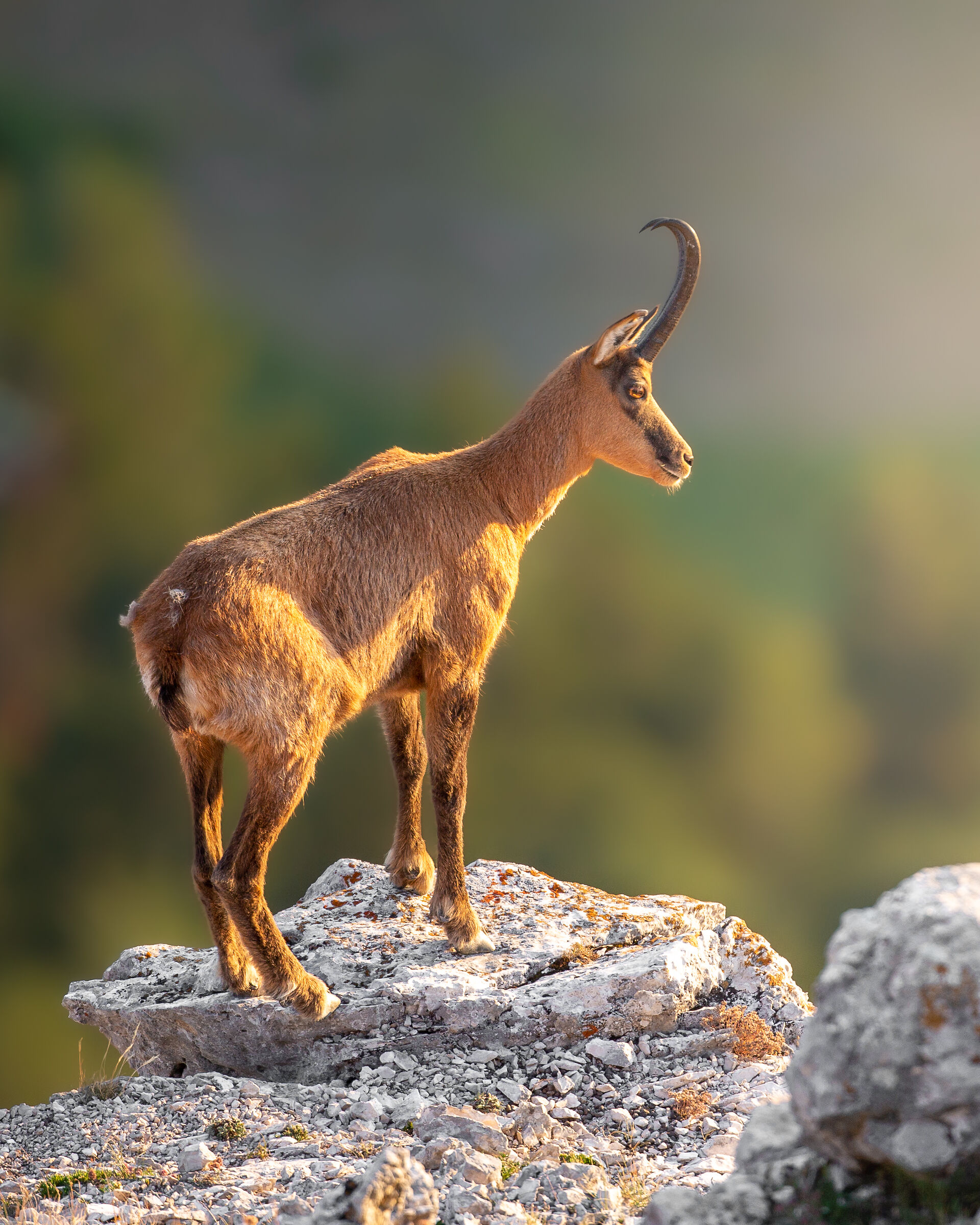 Il sole bacia i belli