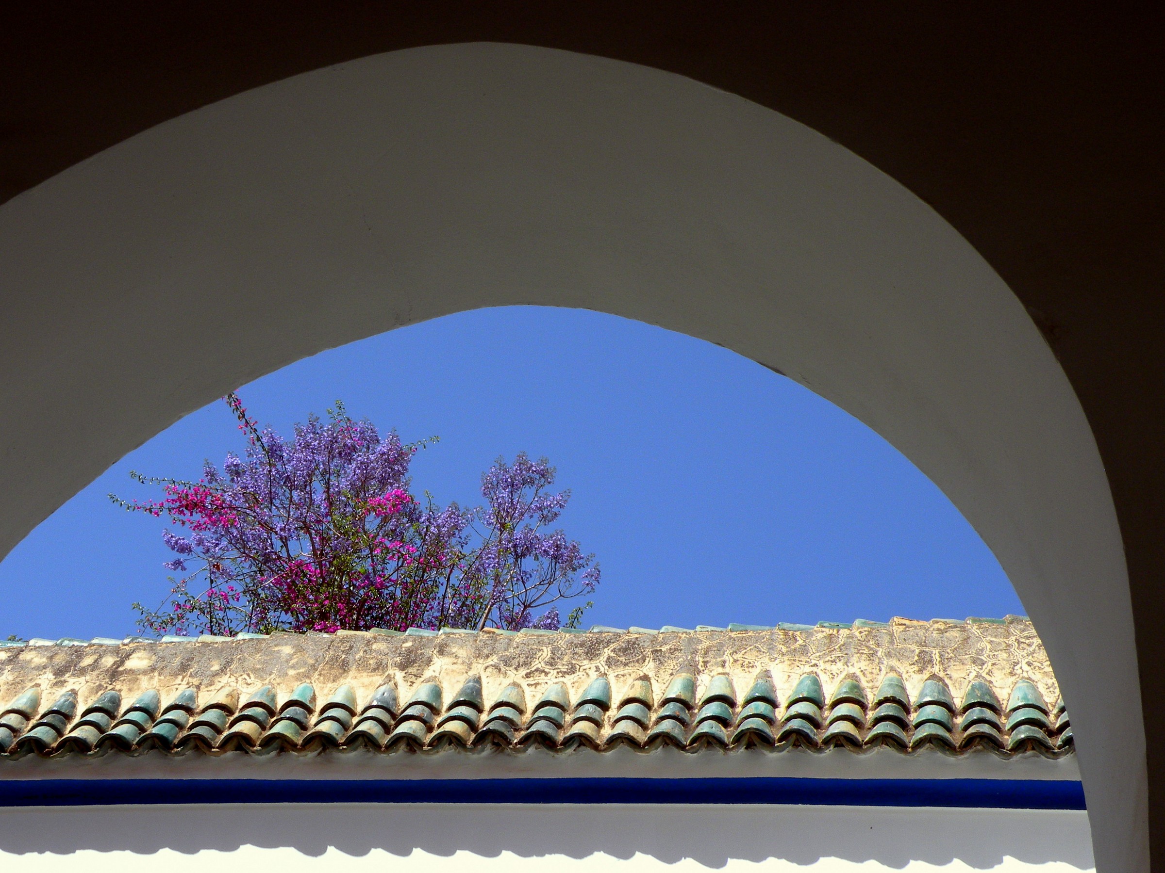 Alzando lo sguardo....