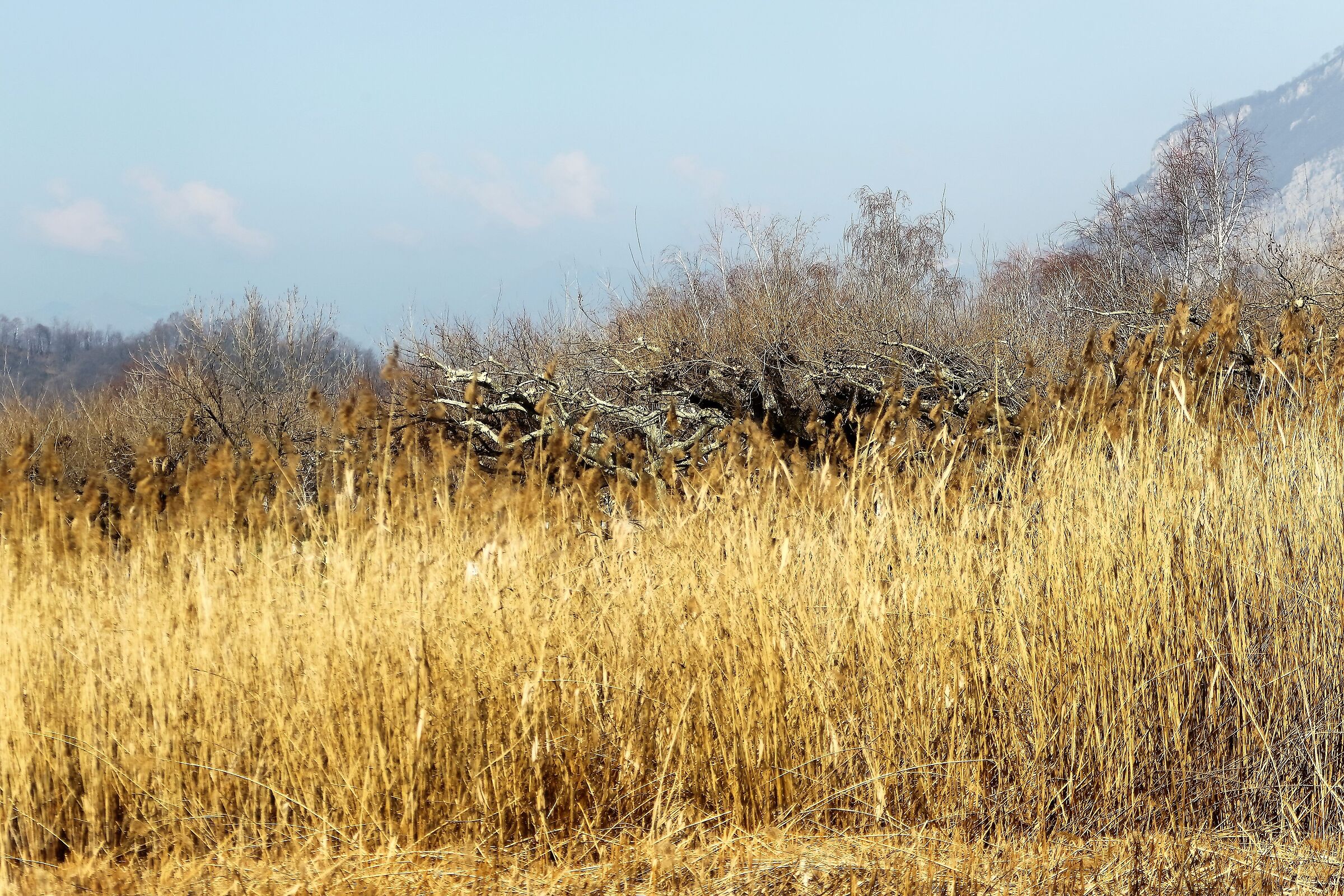 Canneto 03 marzo 2023