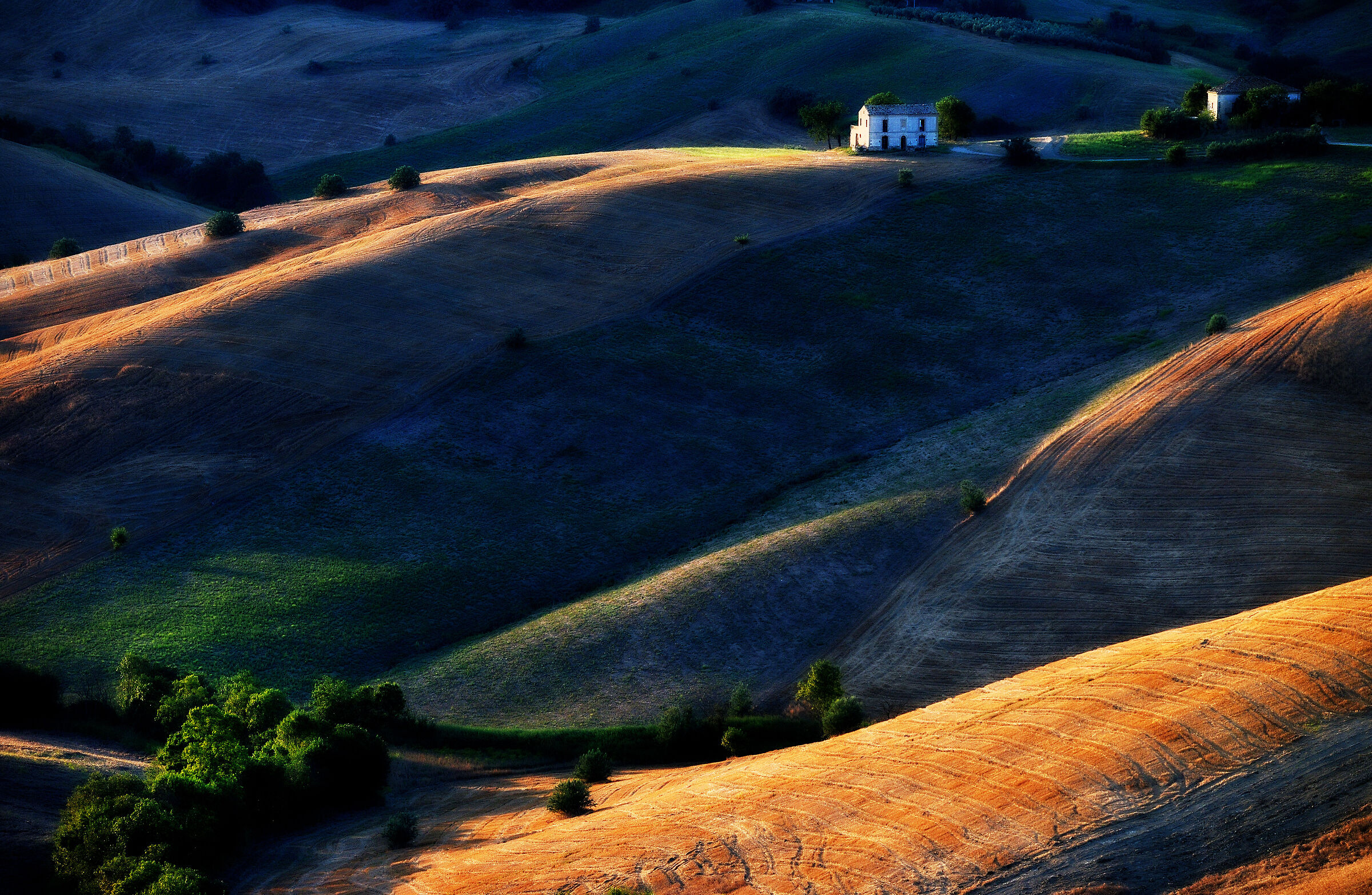 Dolci colline