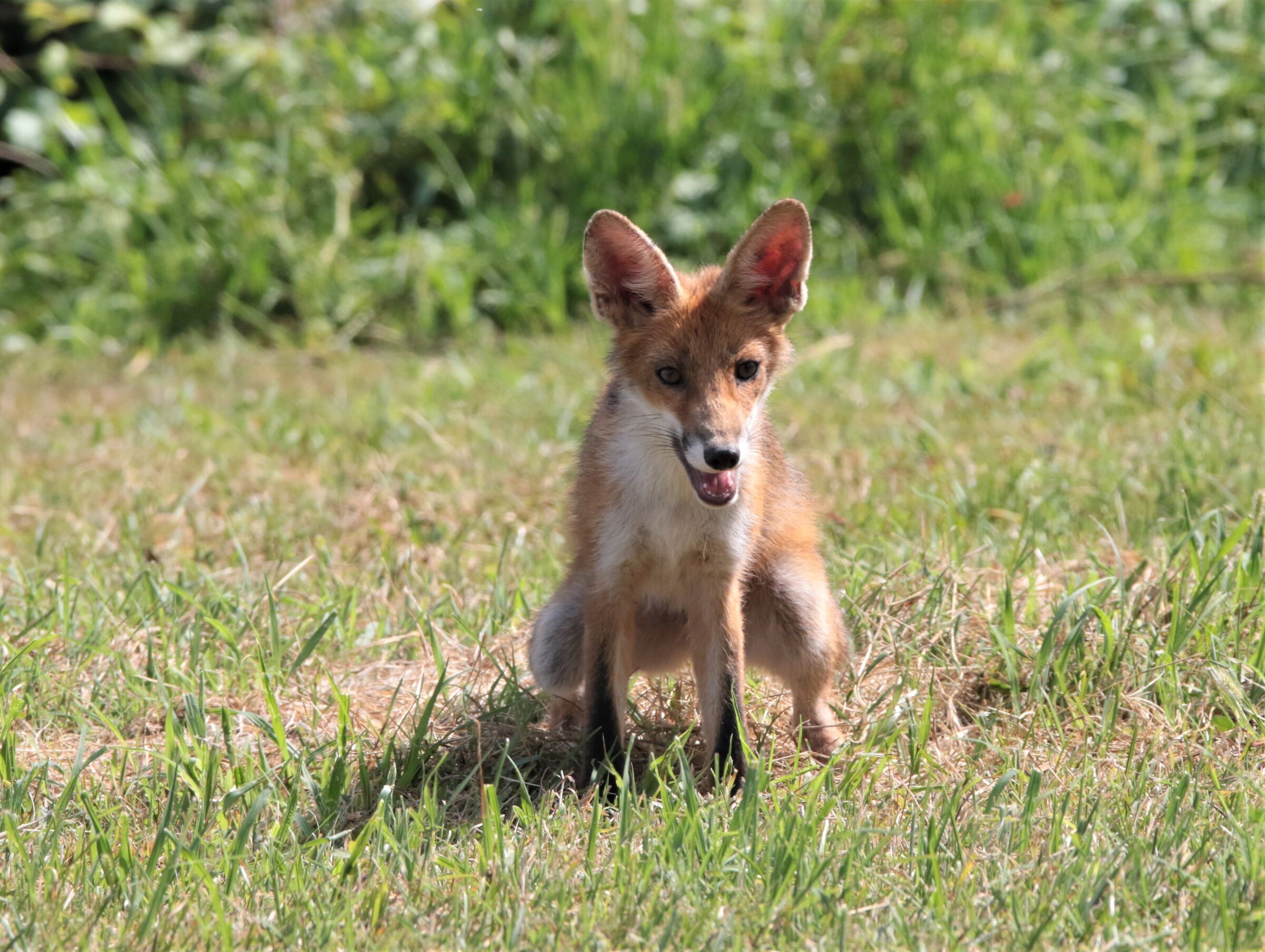 x do not miss anything 2