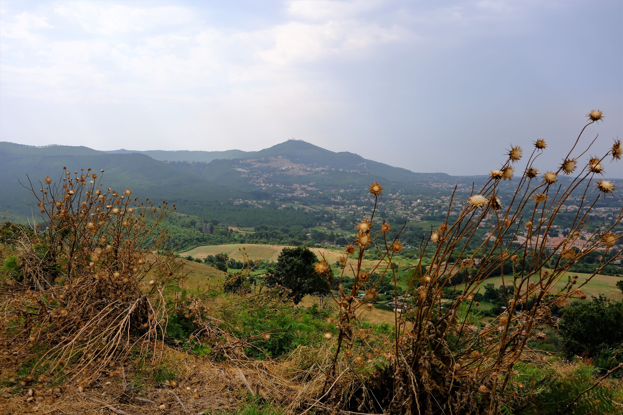 Monte Cavo dal Tuscolo