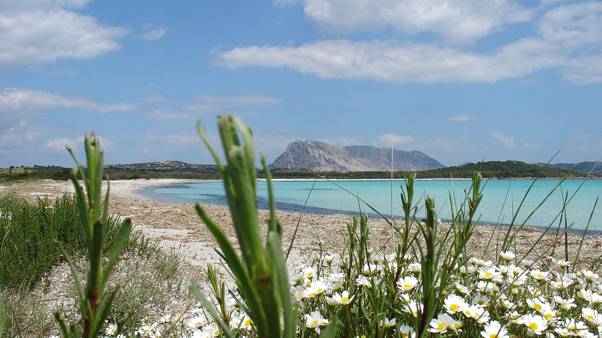Spring in Sardinia 2