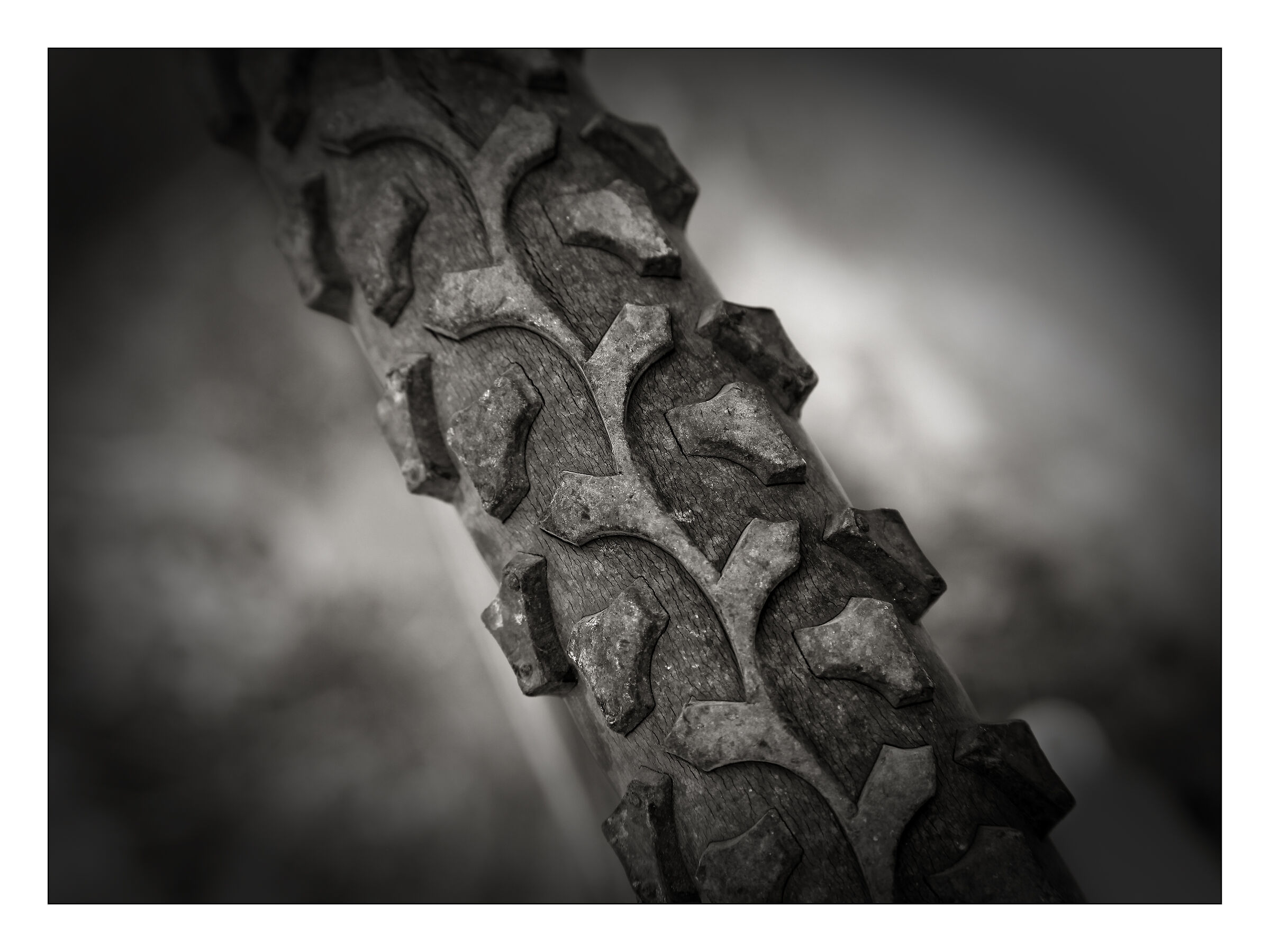 Untitled Photo