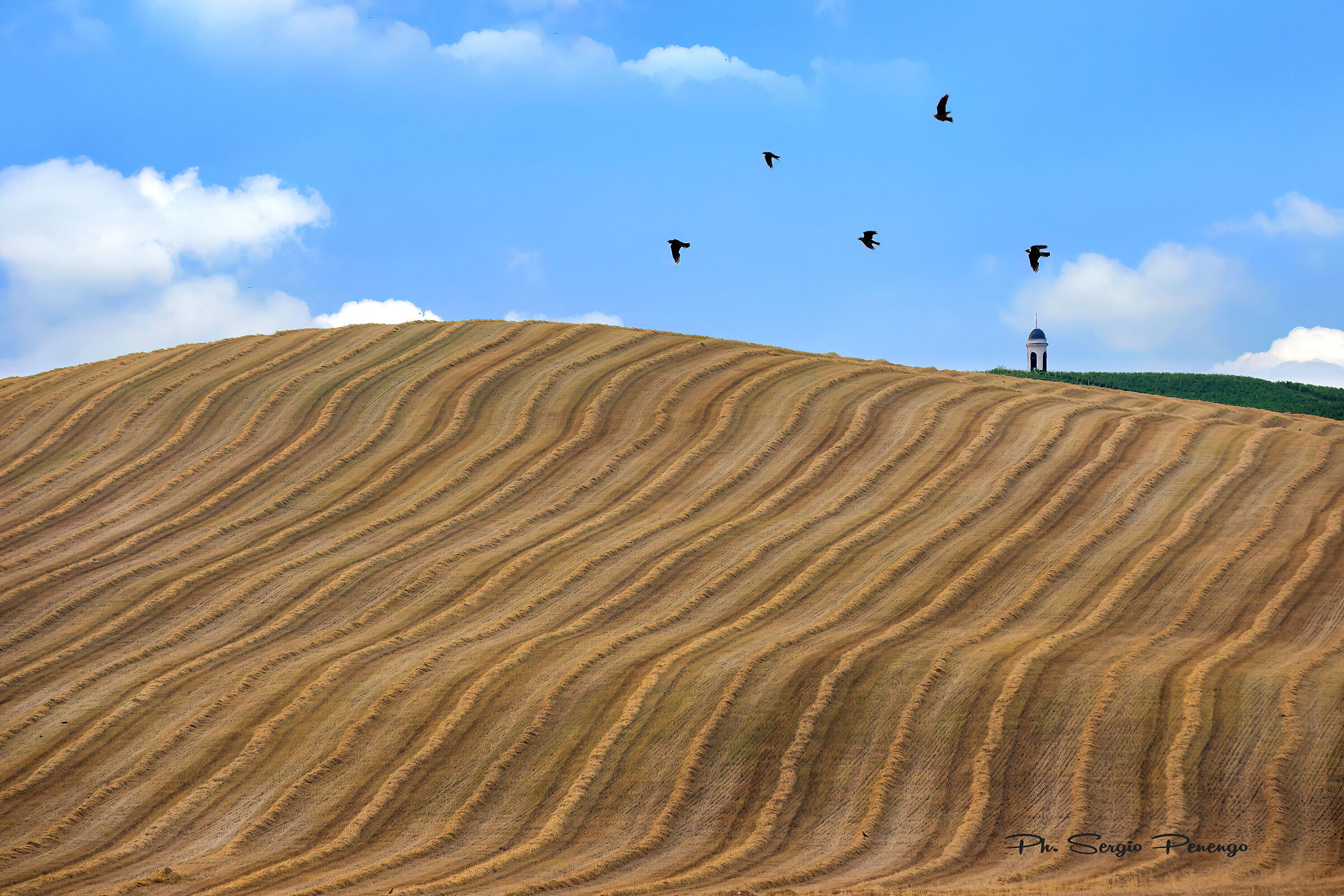 "MONFERRATO"