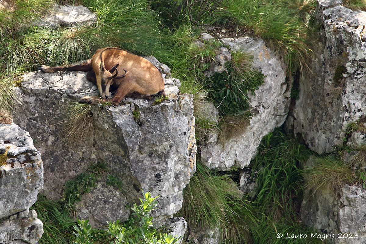 Non soffro di vertigini