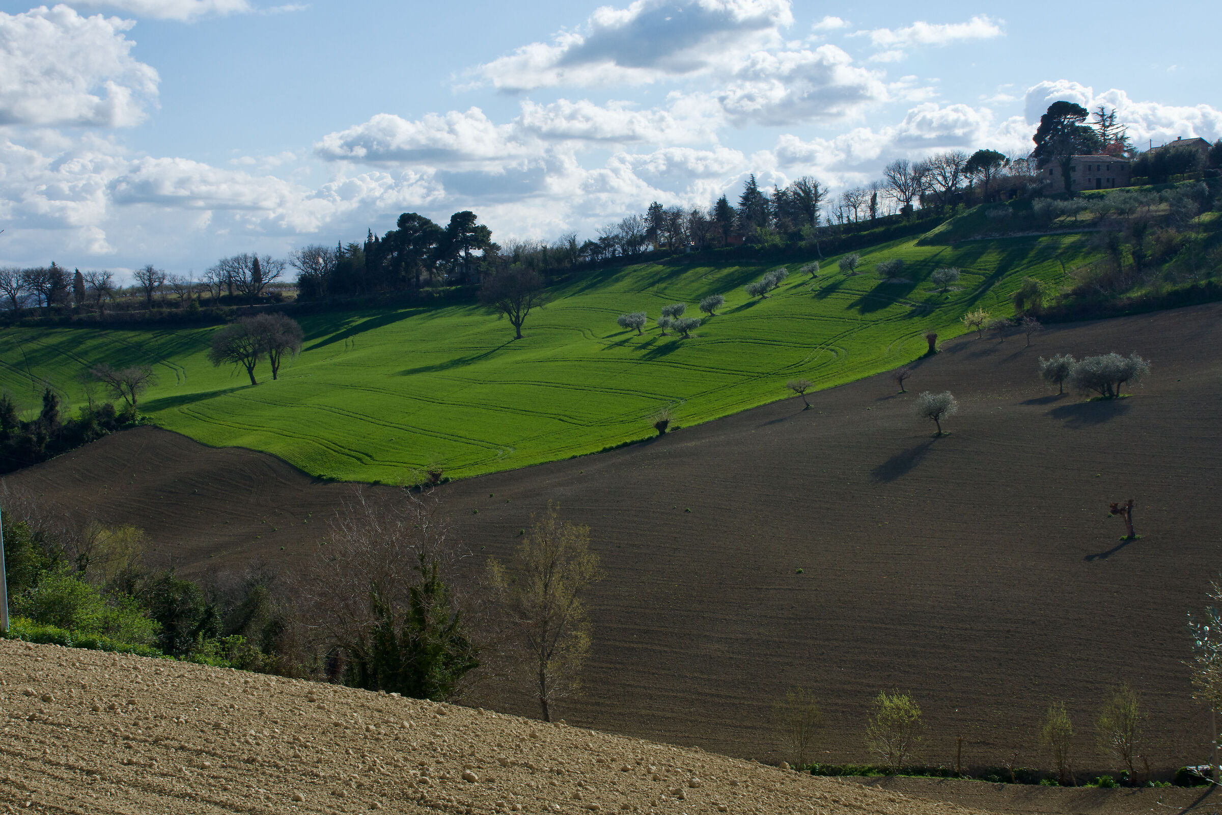 Contrasti controluce