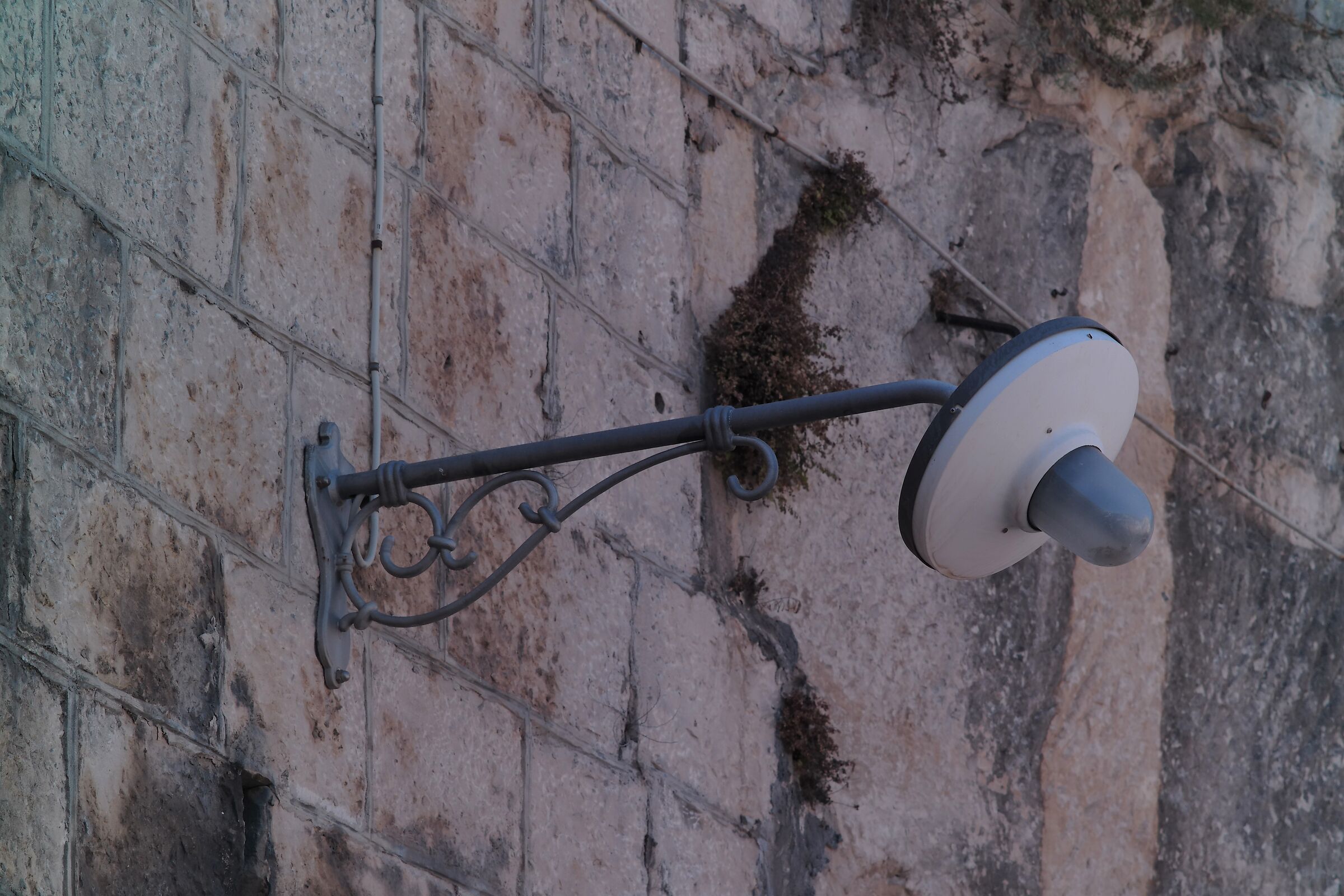 Ragusa + Jupiter 37A