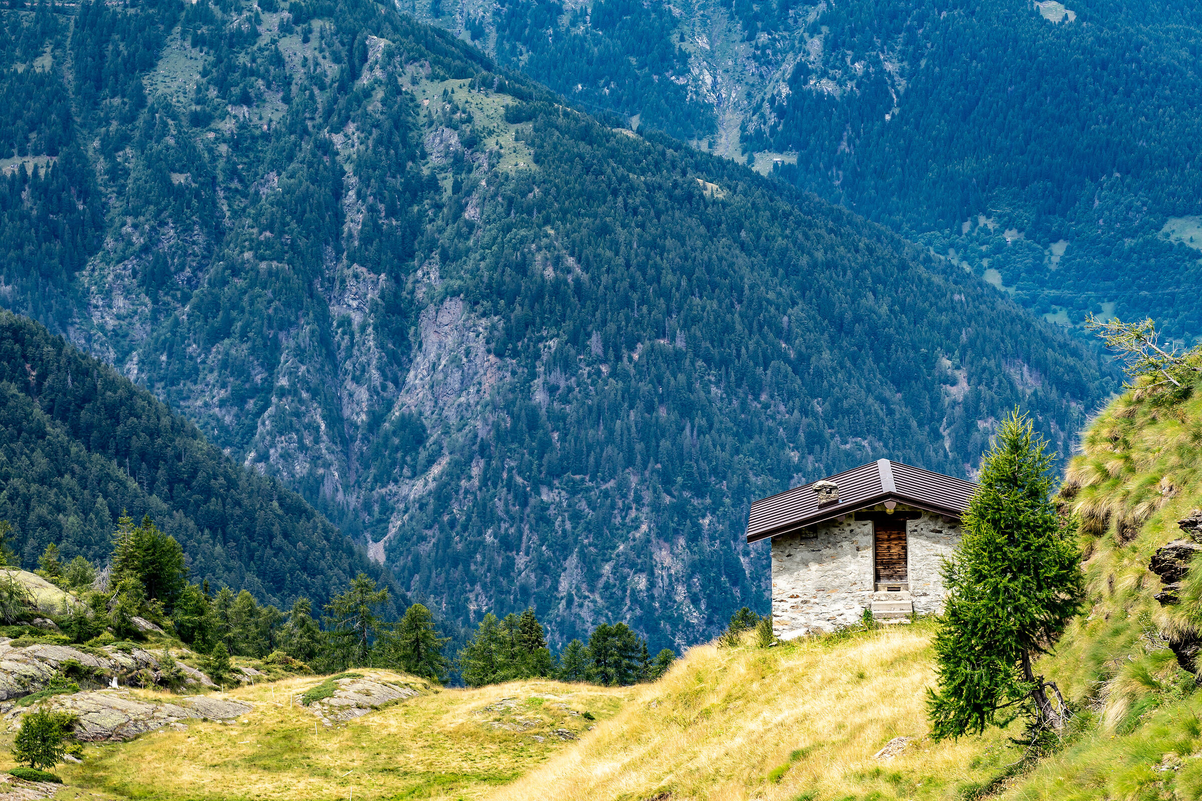 Cottage