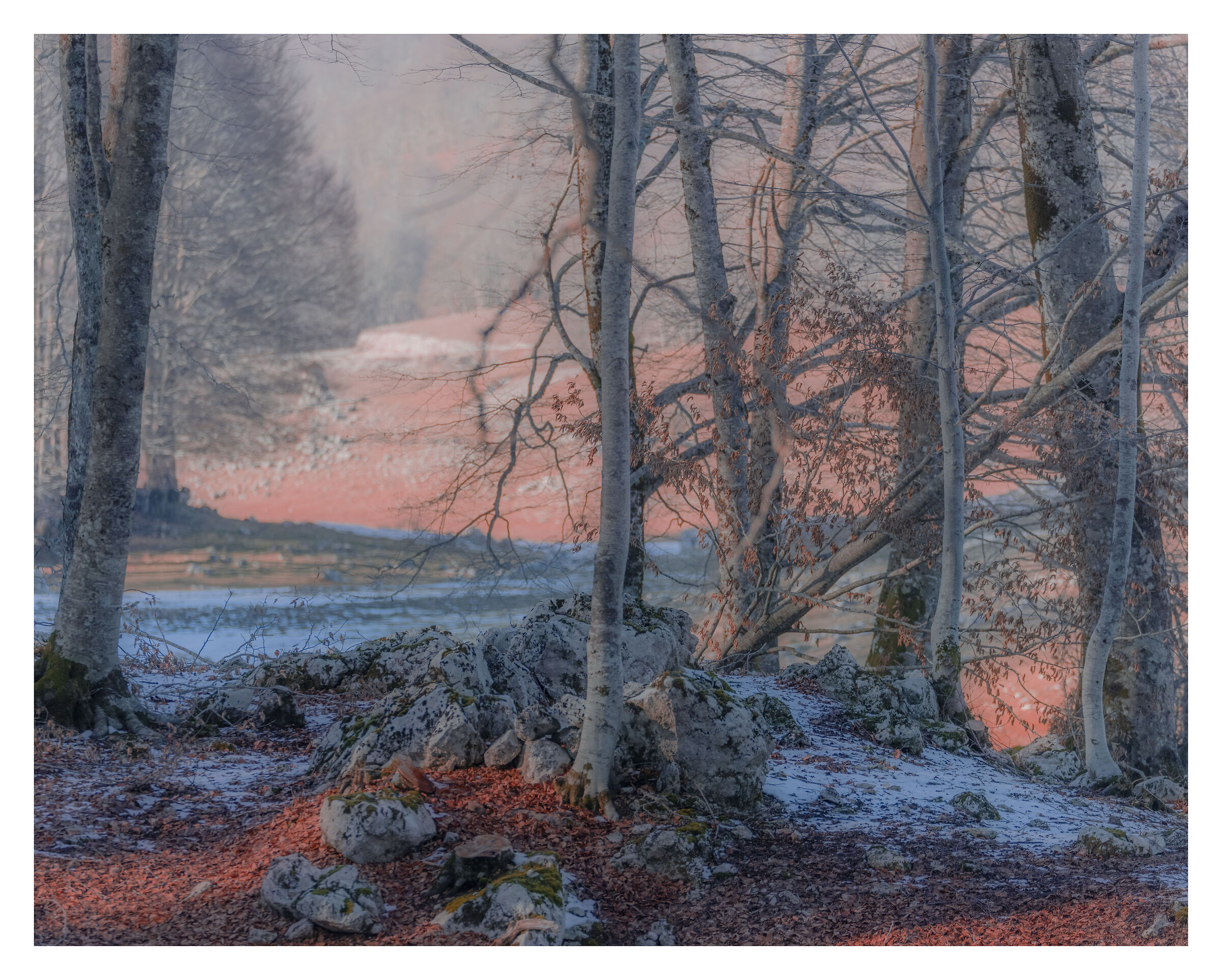 Prime nevi dopo l'autunno