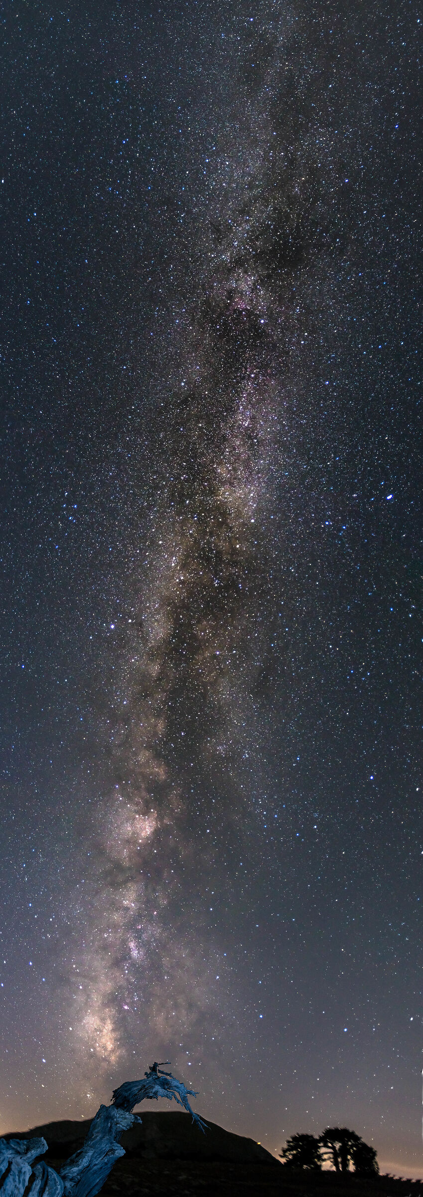 Via Lattea in tutta la sua lunghezza