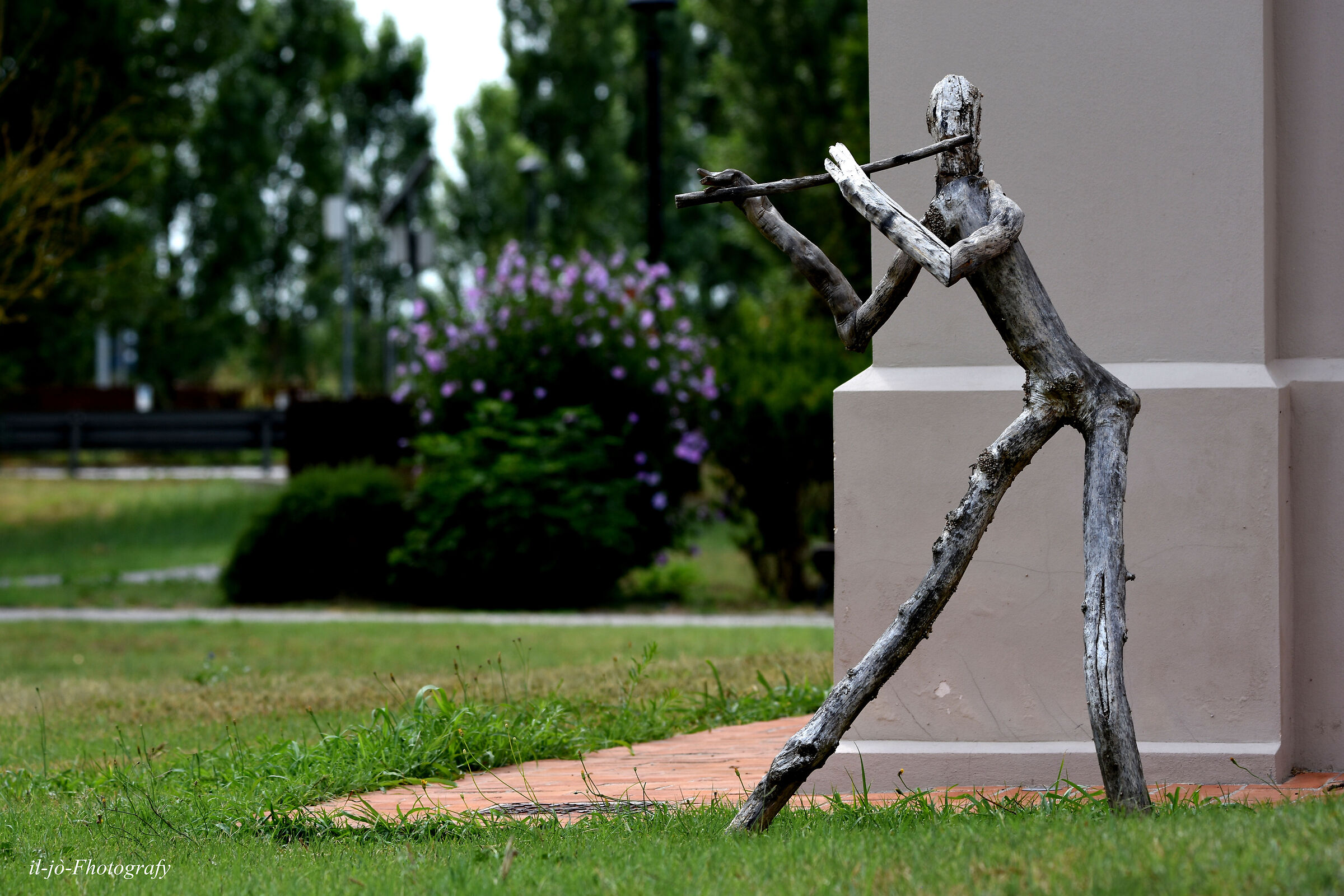 The musician