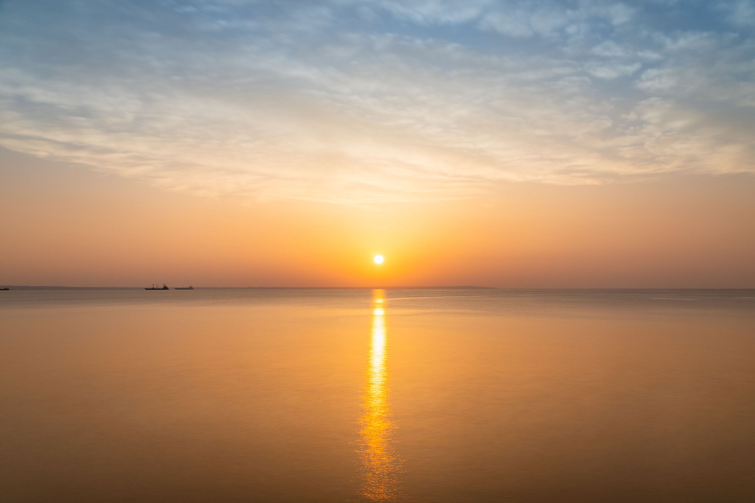 Untitled Photo