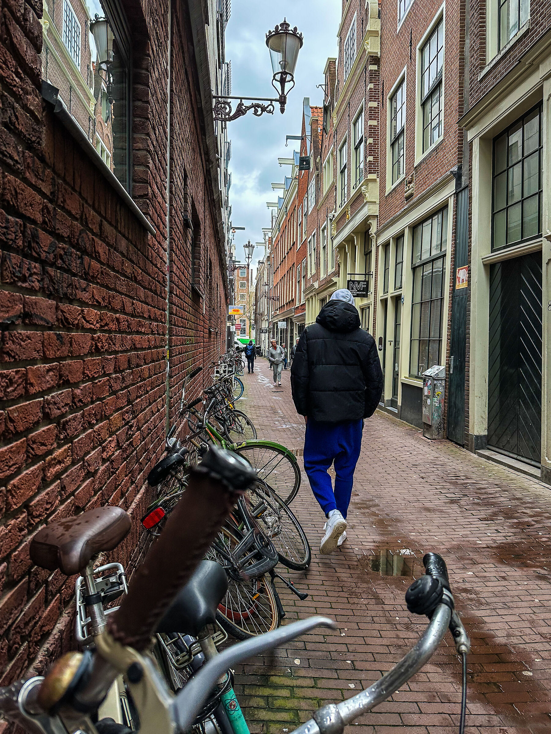 Gigante ad Amsterdam