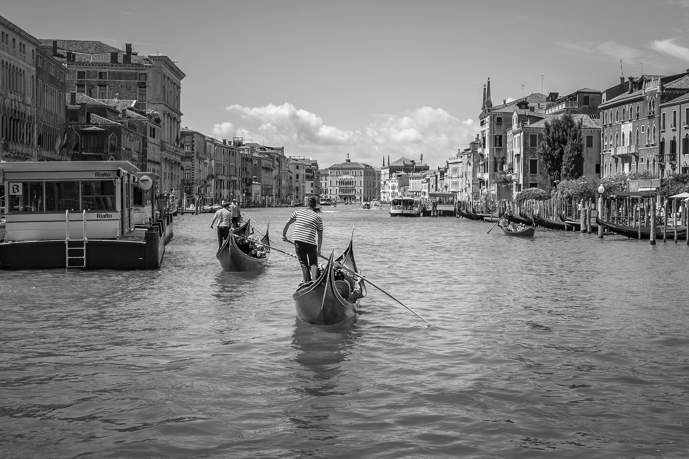 Venezia