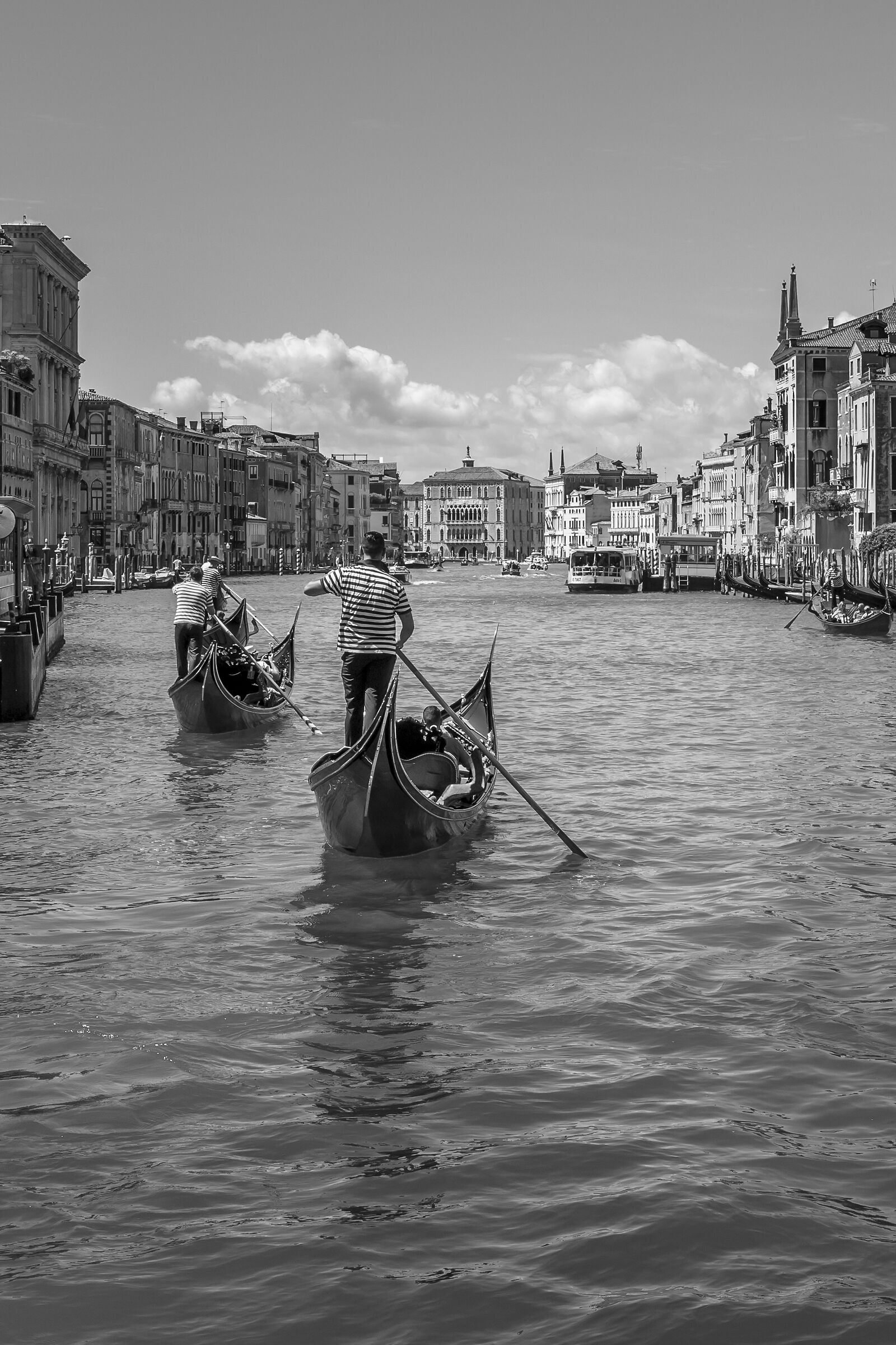Venezia