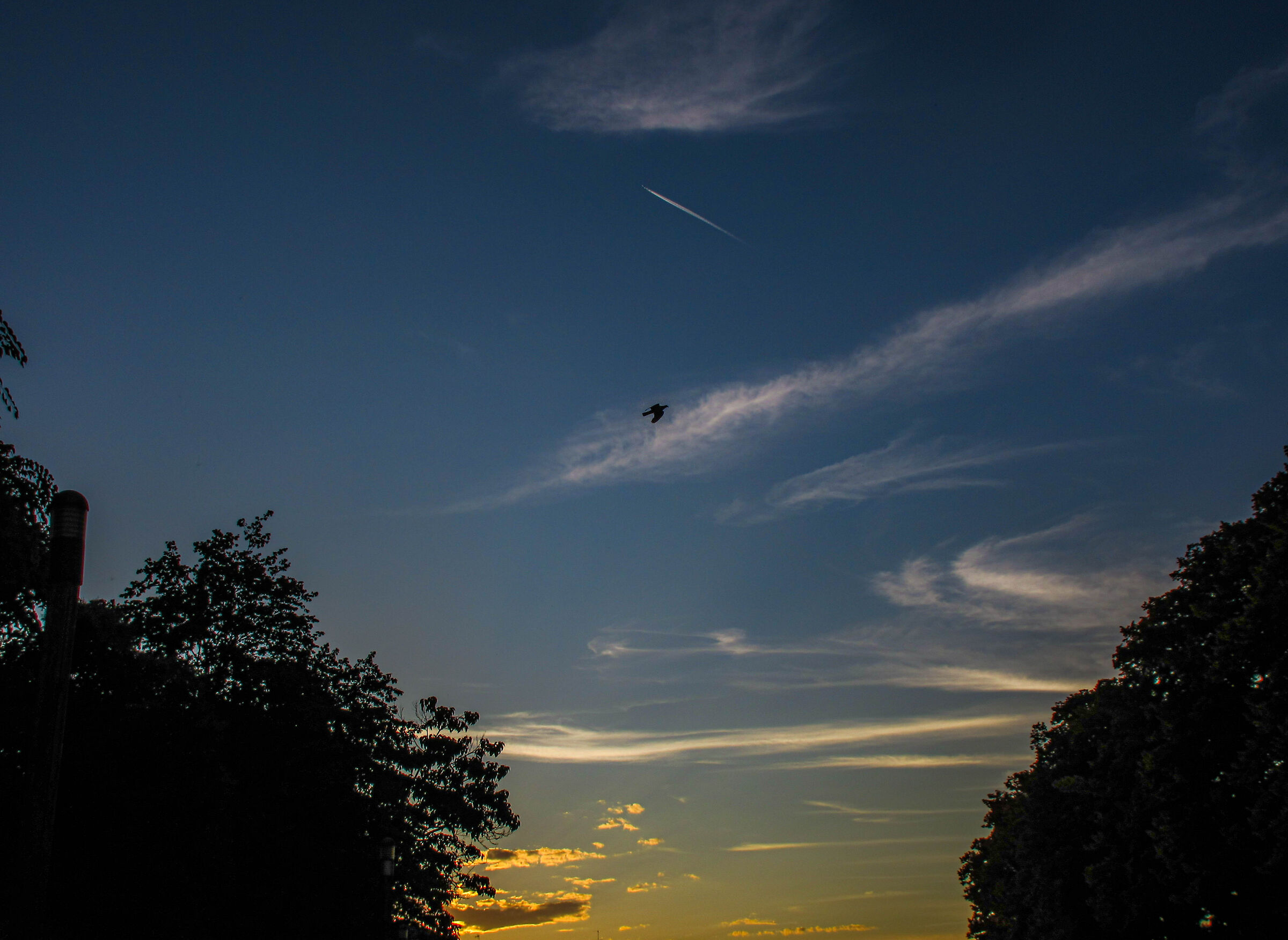 Untitled Photo