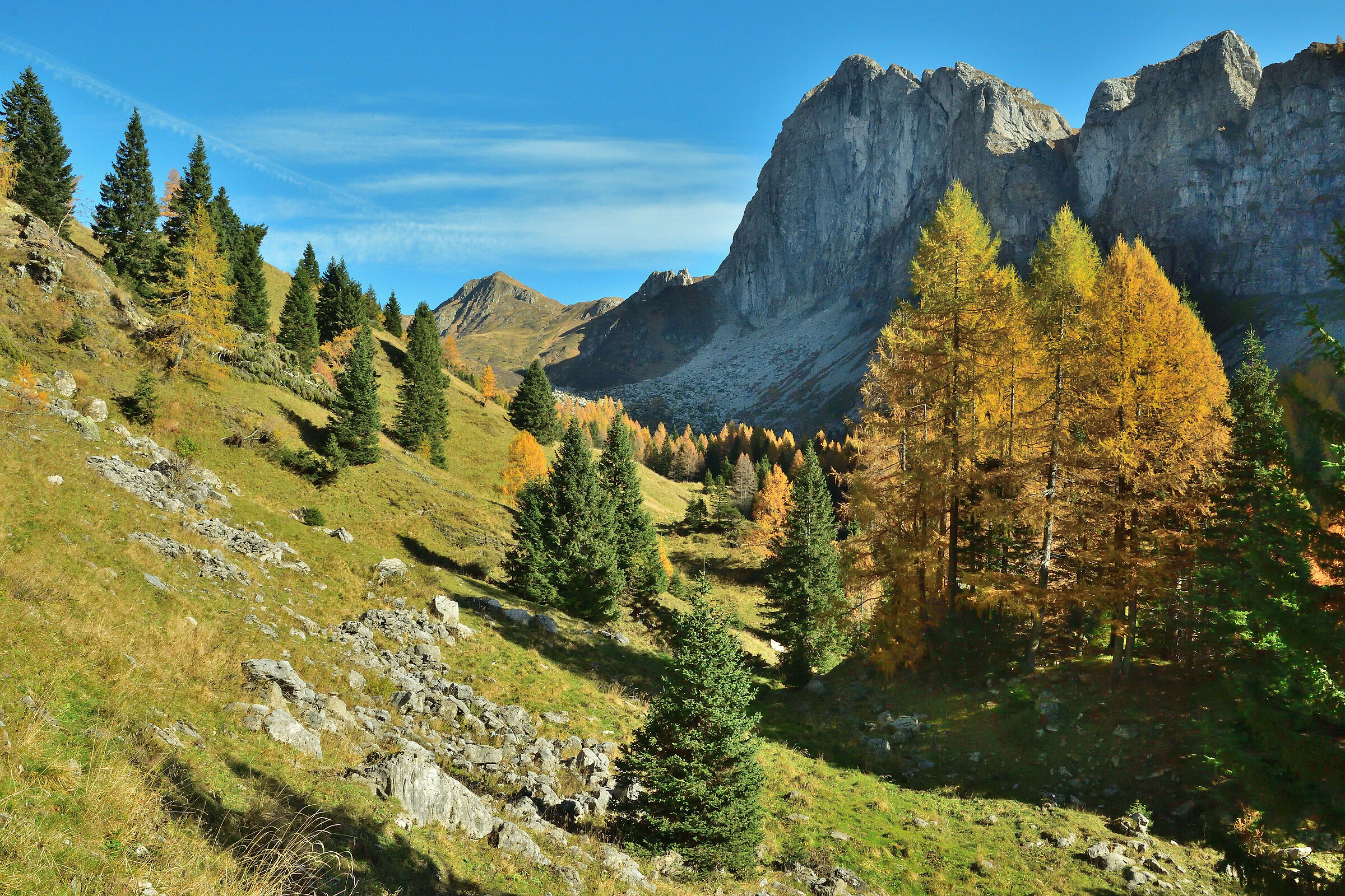 Alpi Carniche