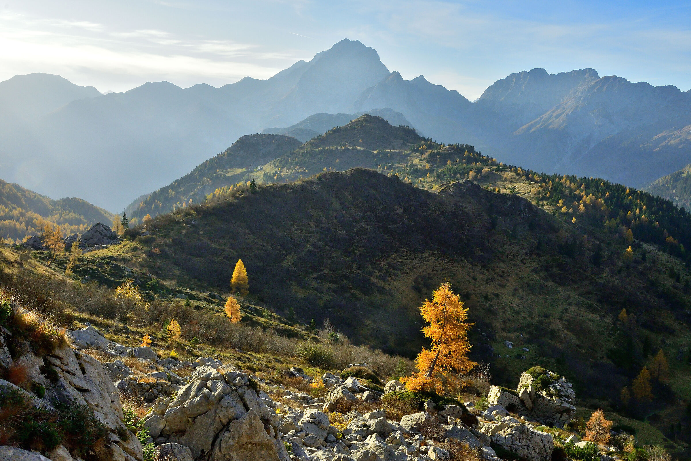 Carnic Alps