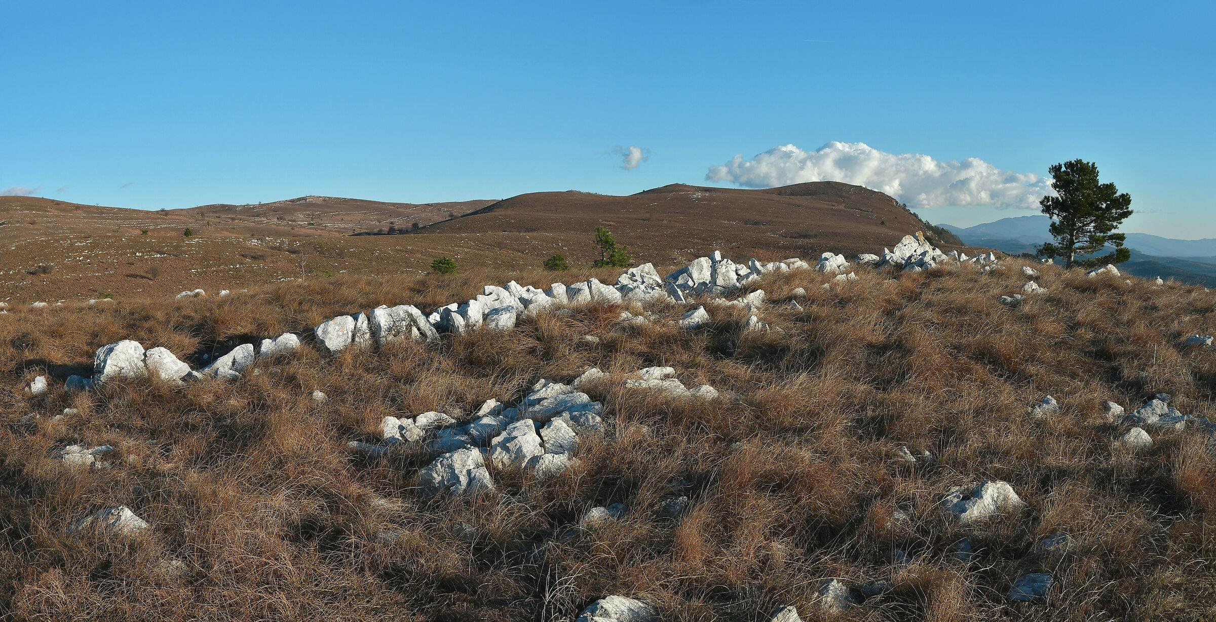 Vena Mountains (Istria)