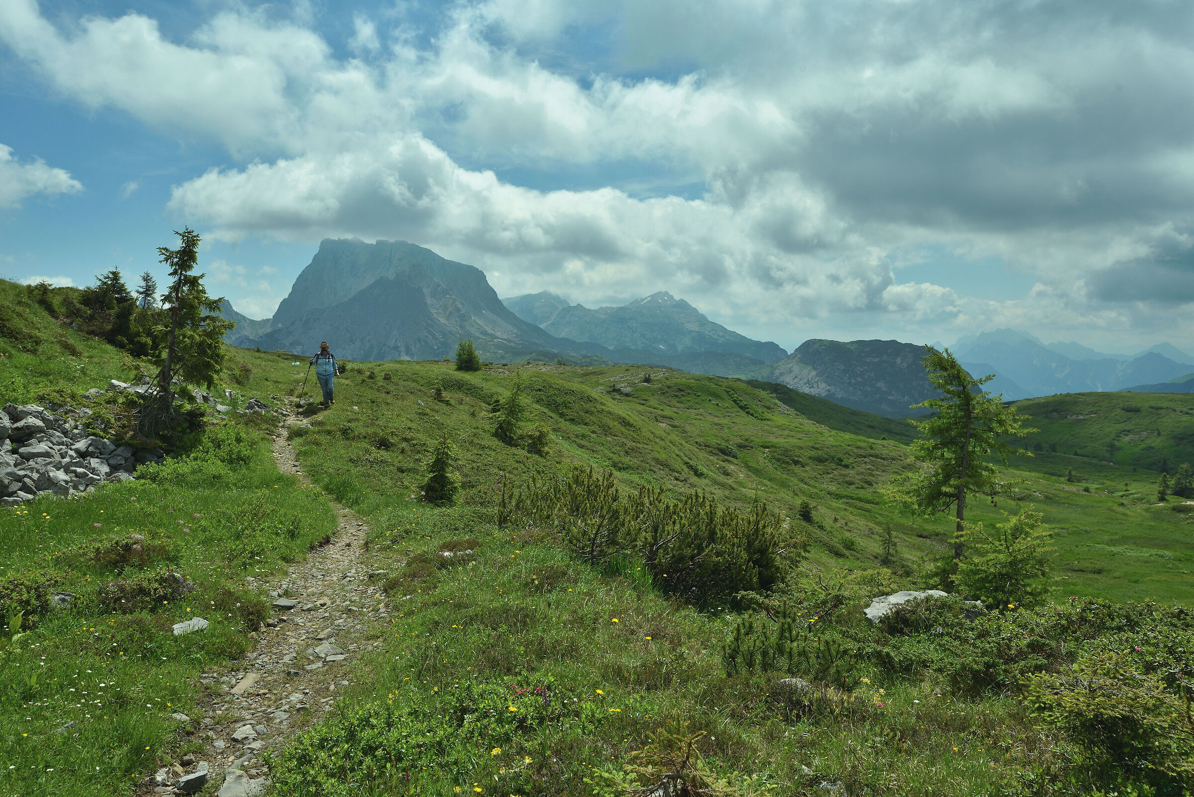 Carnic Alps